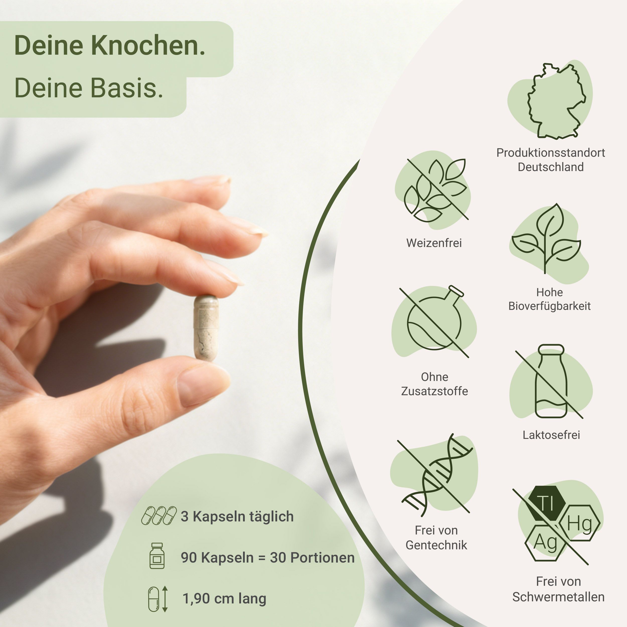 Hand hält eine Kapsel, daneben eine Flasche Osteo Komplex und Icons zu Inhaltsstoffen.