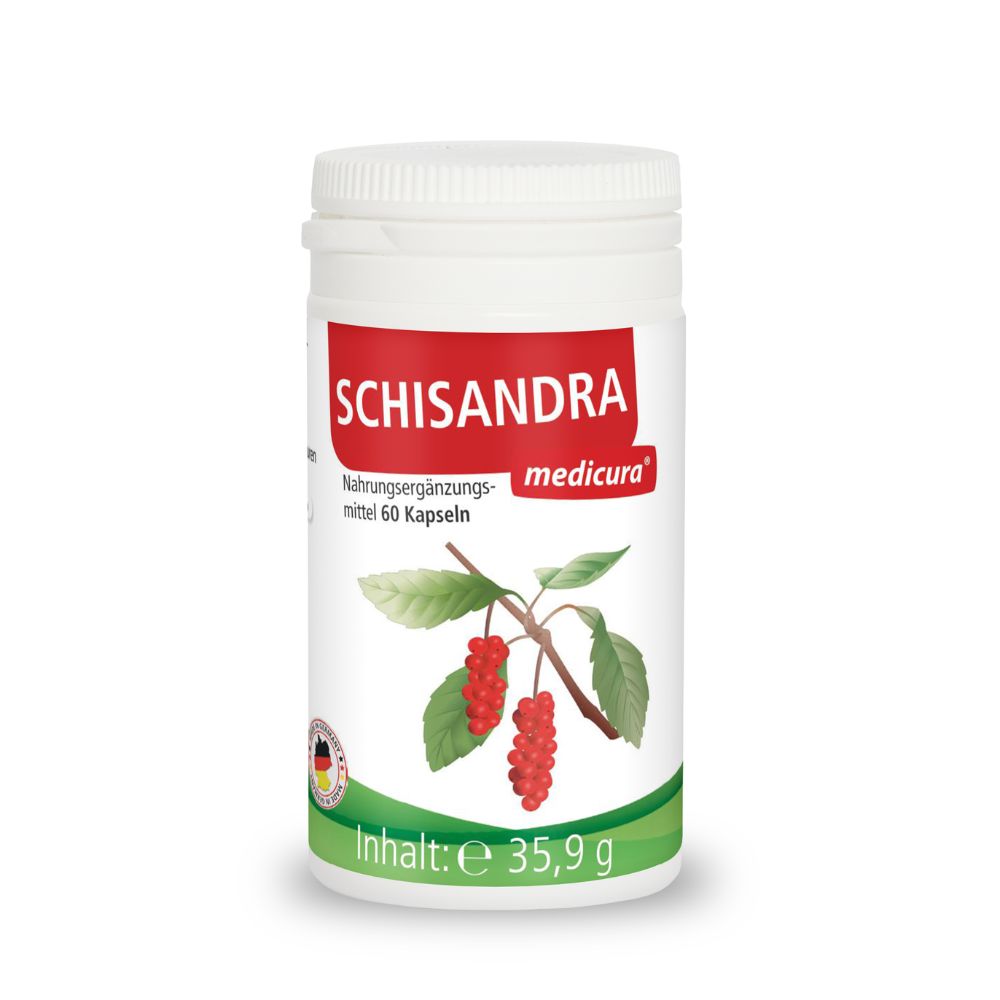 Schisandra Extrakt 250 mg Kapseln 60 St