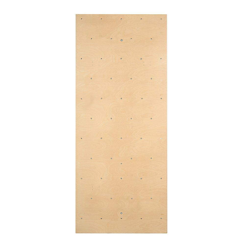 Sport-Thieme Kletterwand für Sprossenwand