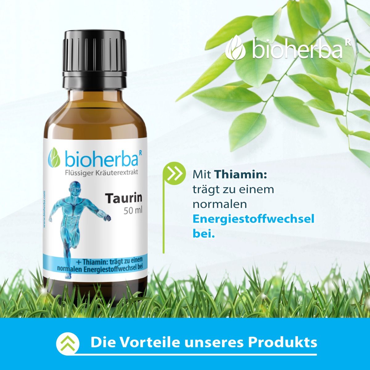 Braune Glasflasche mit schwarzem Deckel. Etikett mit Produktname und Logo. Text: Mit Thiamin. Grünpflanzen im Hintergrund.