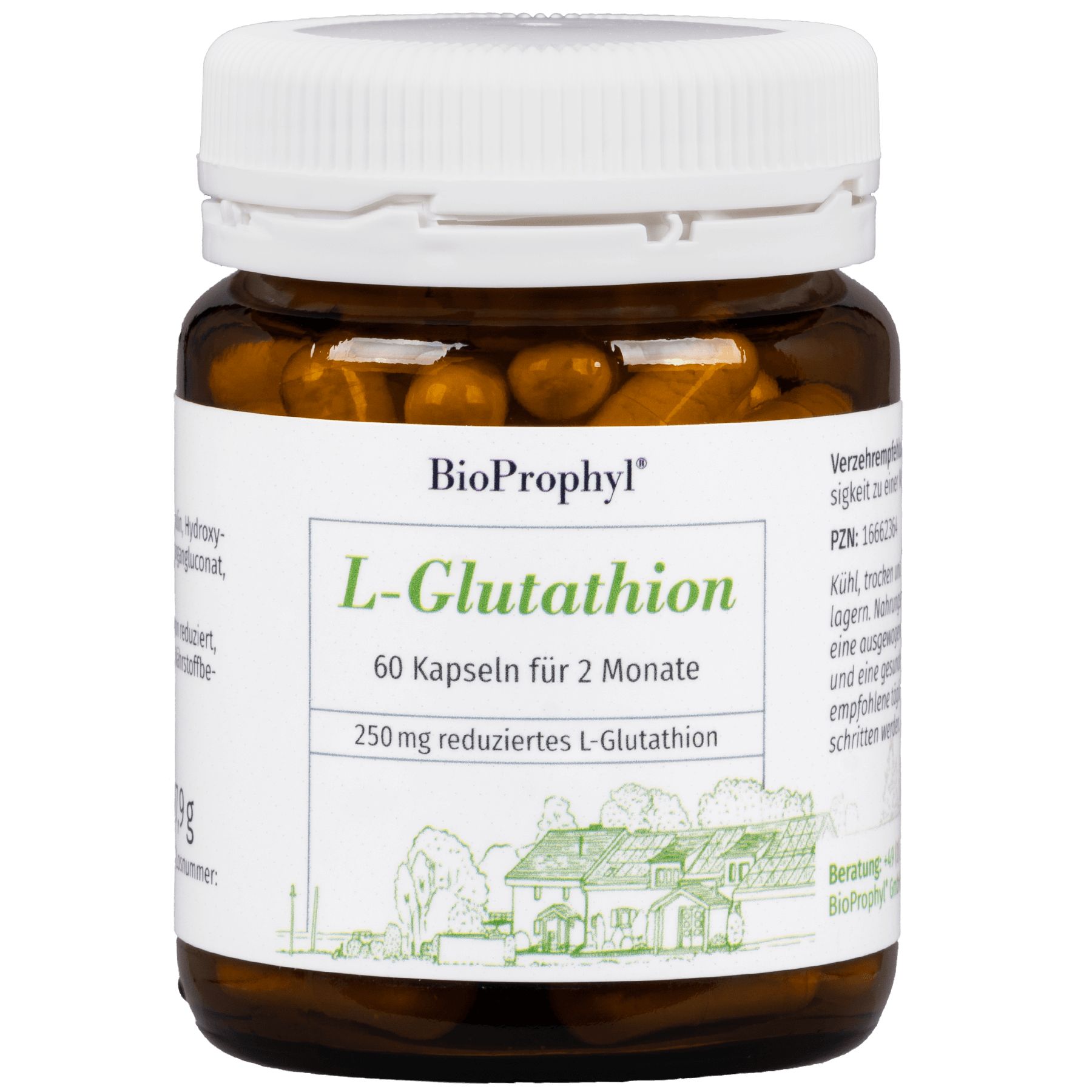 Braune Glasflasche mit weißen Deckel. Aufschrift: BioProphyl L-Glutathion, 60 Kapseln für 2 Monate, 250 mg reduziertes L-Glutathion.