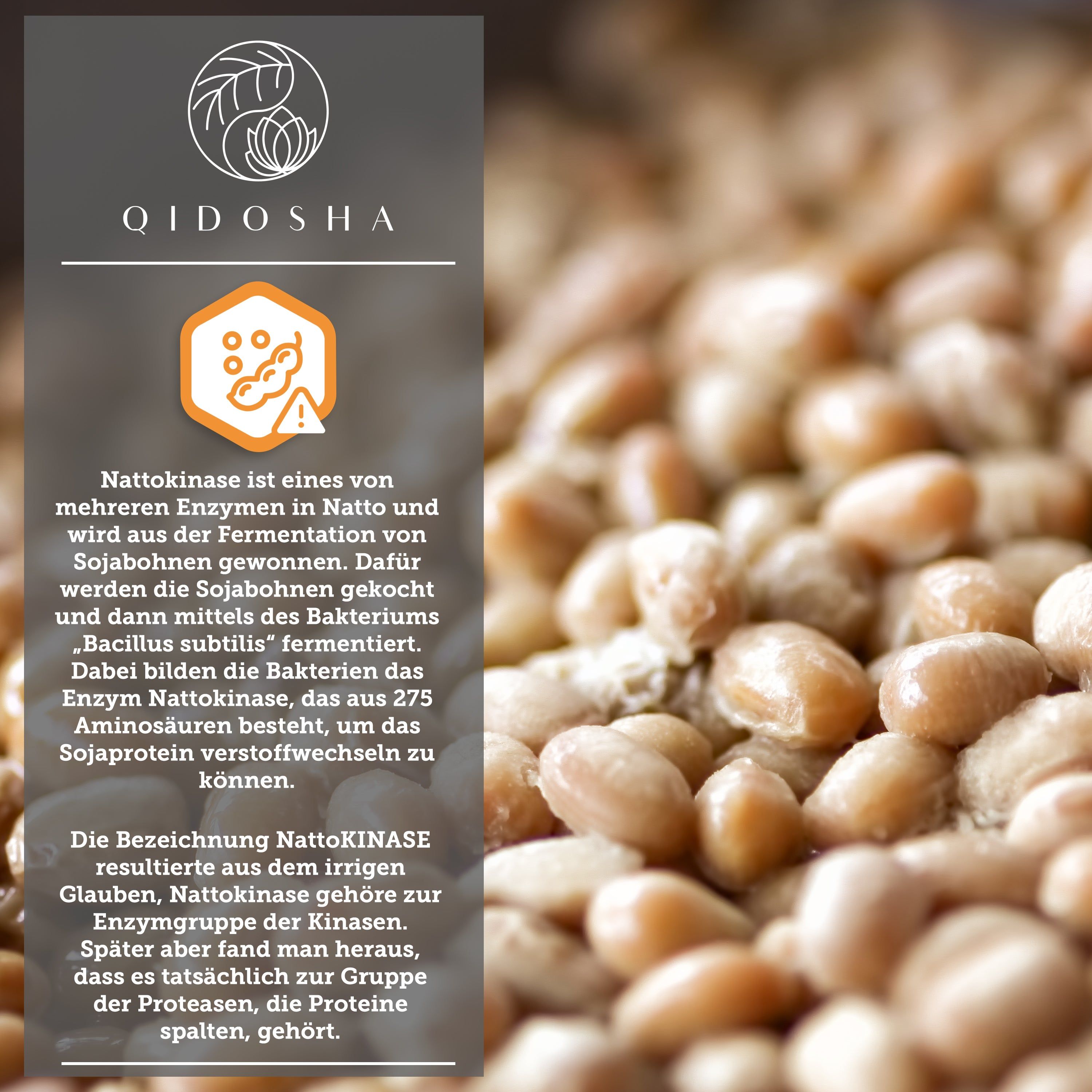 QIDOSHA® Nattokinase