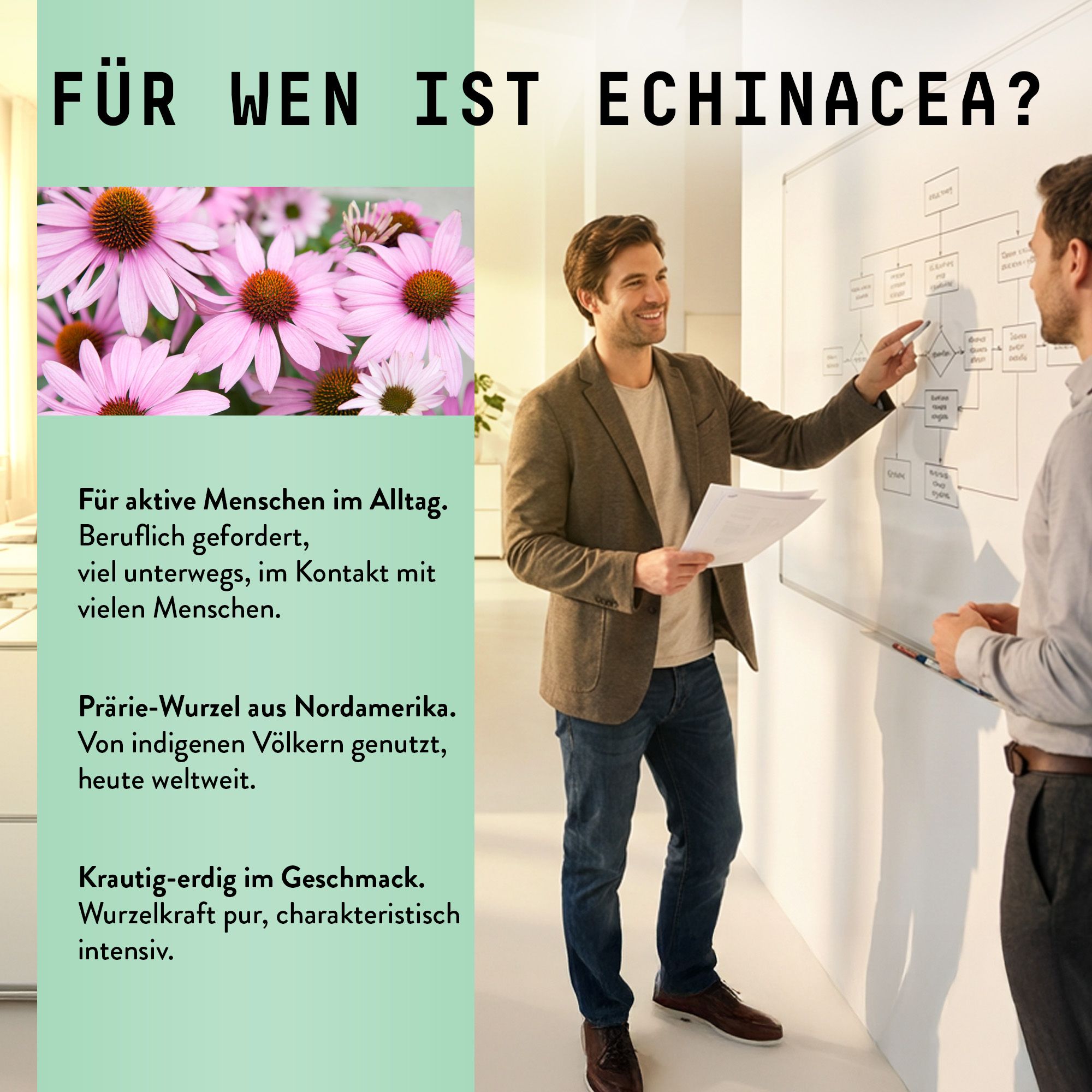 Zwei Männer vor einer Tafel. Aufschrift: Für wen ist Echinacea? Text und Abbildung von Echinacea-Blüten.