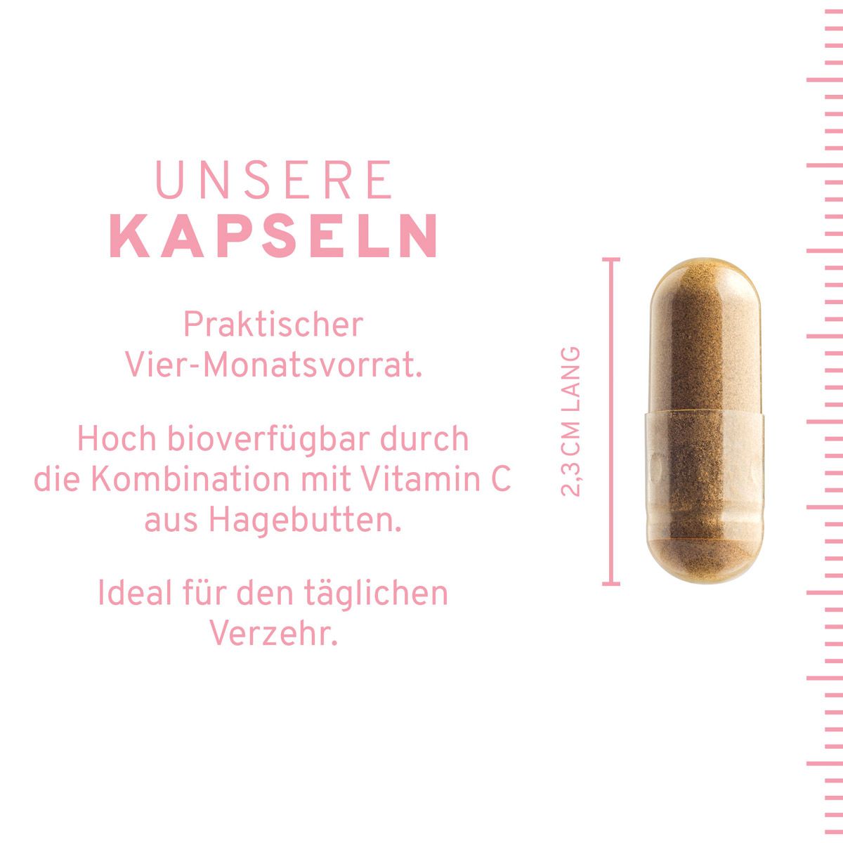 InnoNature Eisen + Vitamin C Kapseln | aus Curryblatt-Extrakt und Hagebutte-Extrakt