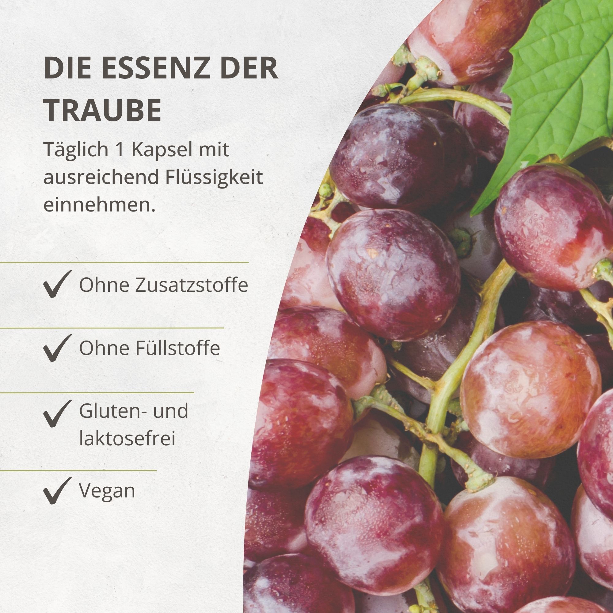 Nahaufnahme von Trauben. Text: Die Essenz der Traube. Ohne Zusatzstoffe, Füllstoffe, gluten- und laktosefrei, vegan.