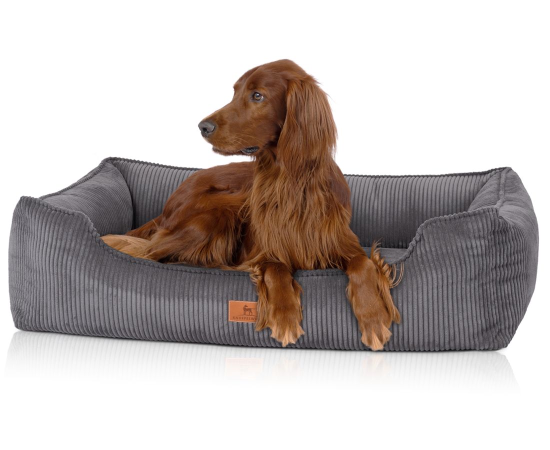 Graues orthopädisches Hundebett mit Cordstruktur. Ein rothaariger Hund liegt entspannt im Bett.
