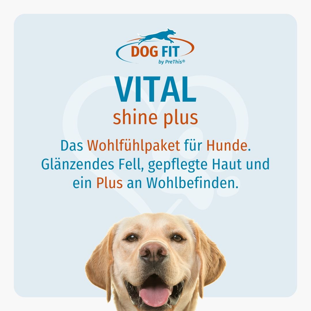 DOG FIT by PreThis® VITAL shine plus » Haut, Fell & Zellgesundheit » Hunde (large)