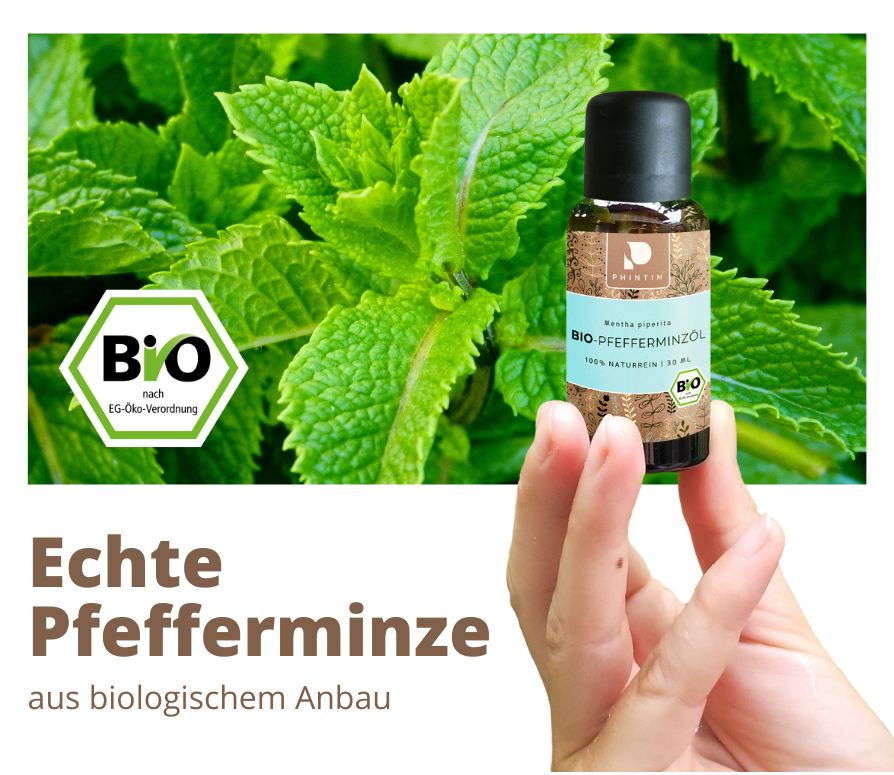 PHINTIN Bio Pfefferminzöl – 100 % naturrein, ätherisches Öl (Lebensmittelqualität)