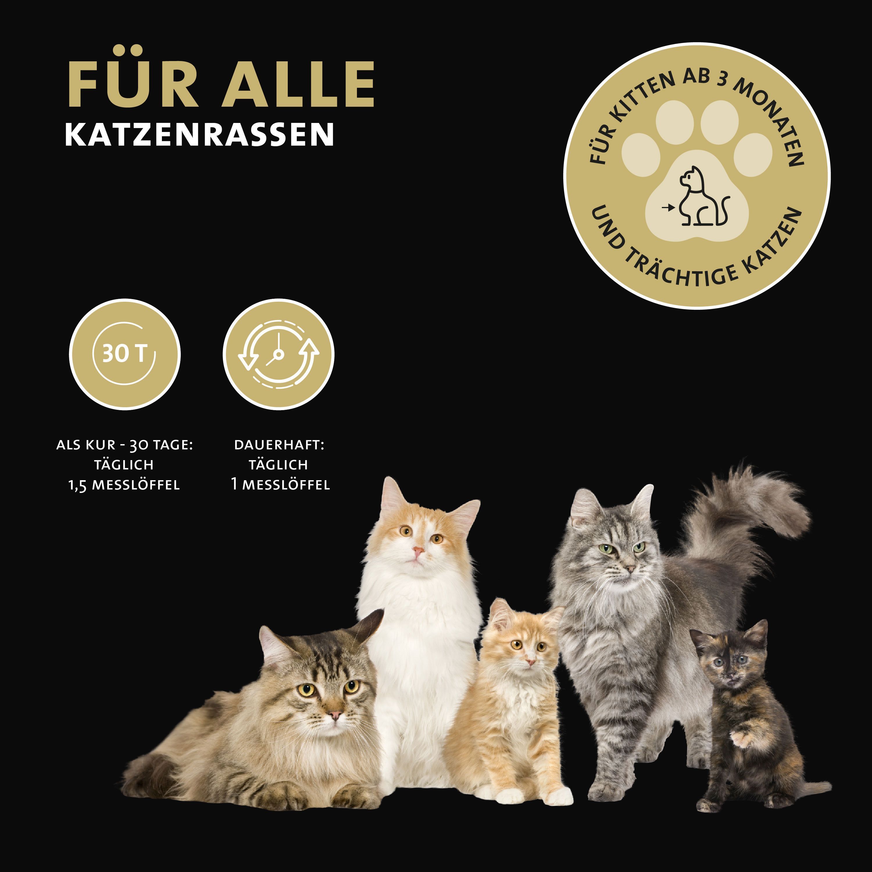 Katzen auf schwarzem Hintergrund. Text: Für alle Katzenrassen. Für Kitten ab 3 Monaten. Dosierungsempfehlungen.