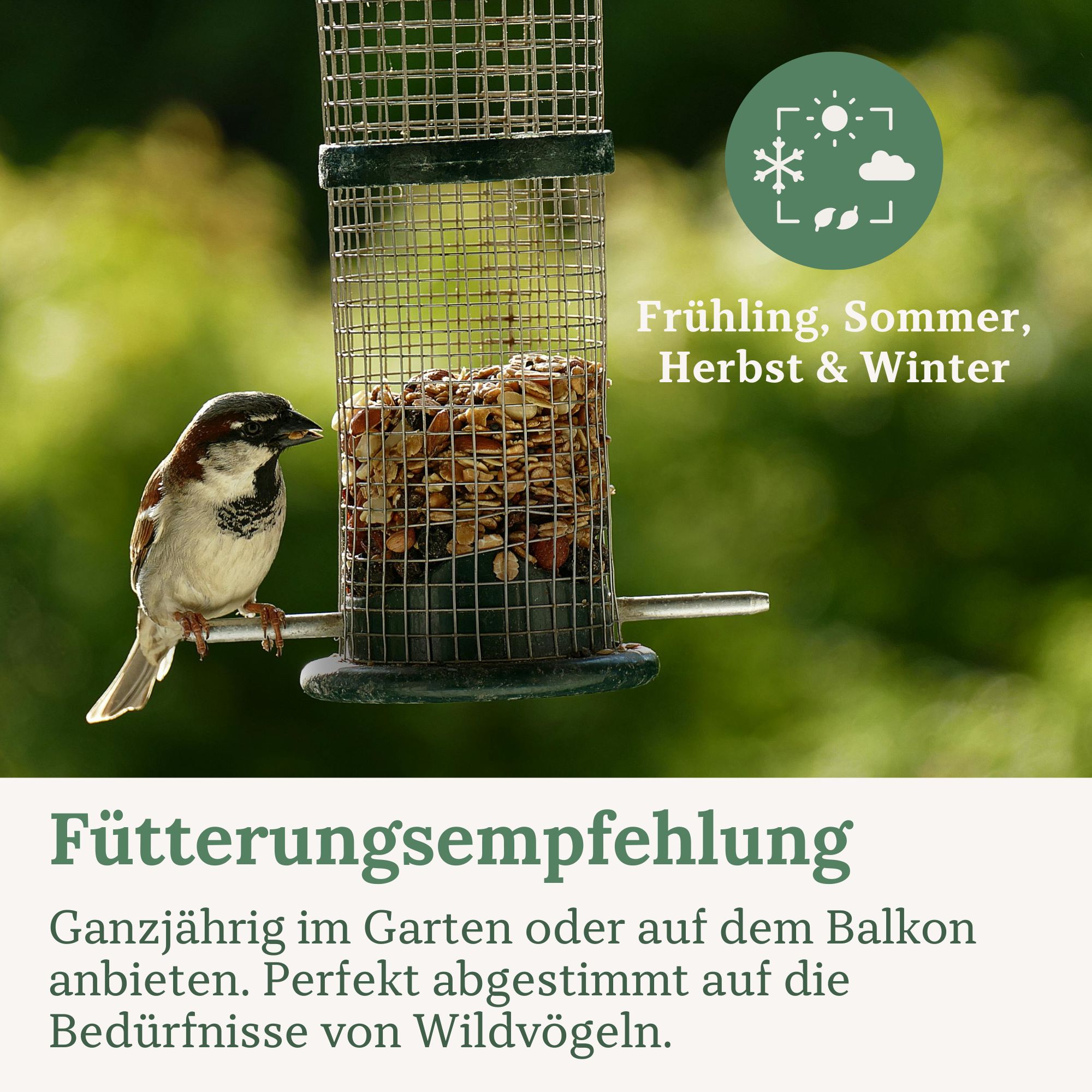 Metall-Vogelfutterspender mit Spatz, gefüllt mit Vogelfutter.