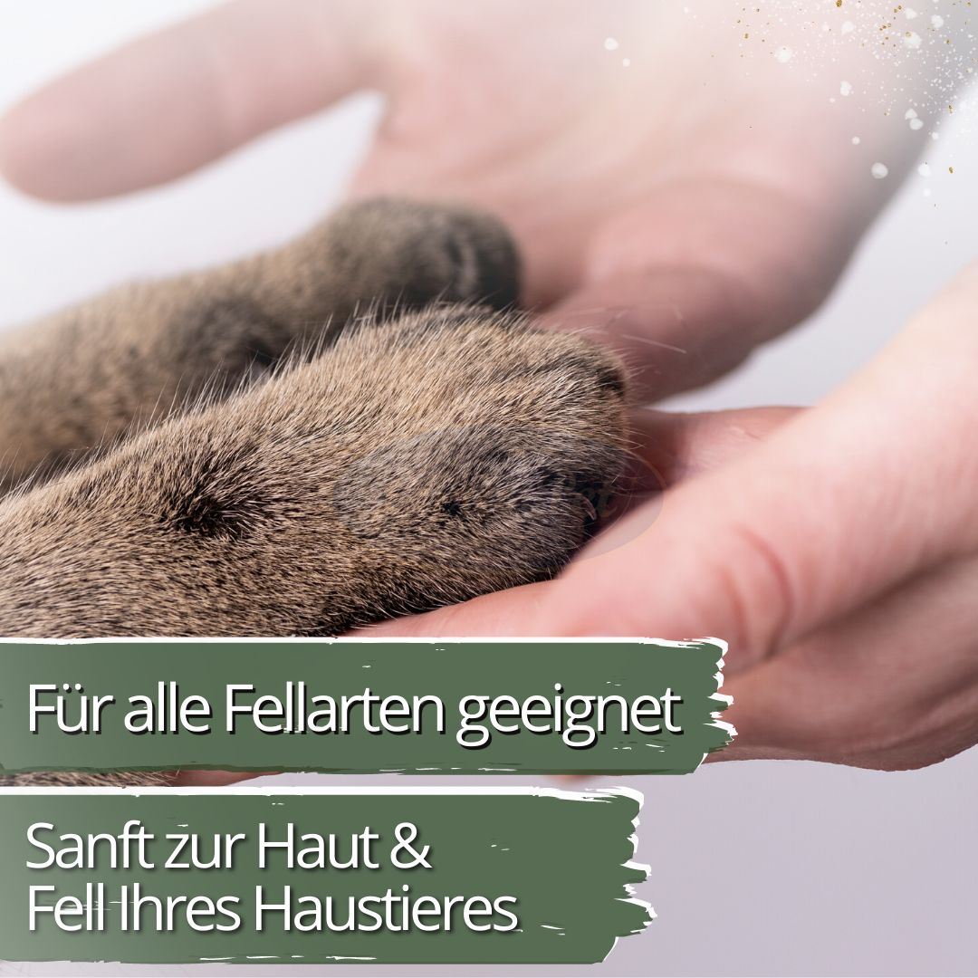 Nahaufnahme von Katzenpfoten in einer Hand. Text: Für alle Fellarten geeignet. Sanft zur Haut & Fell Ihres Haustieres.