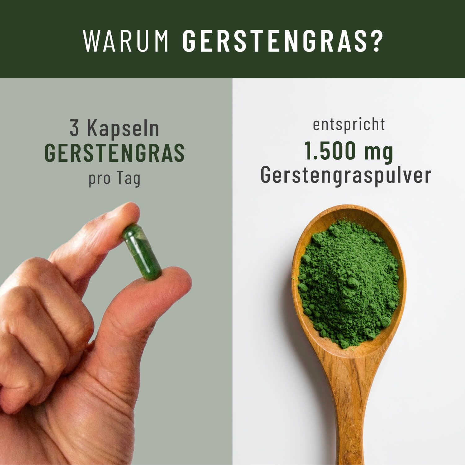 Hand hält Kapsel und Löffel mit Pulver. Text: 3 Kapseln GERSTENGRAS pro Tag. 1.500 mg Gerstengraspulver.