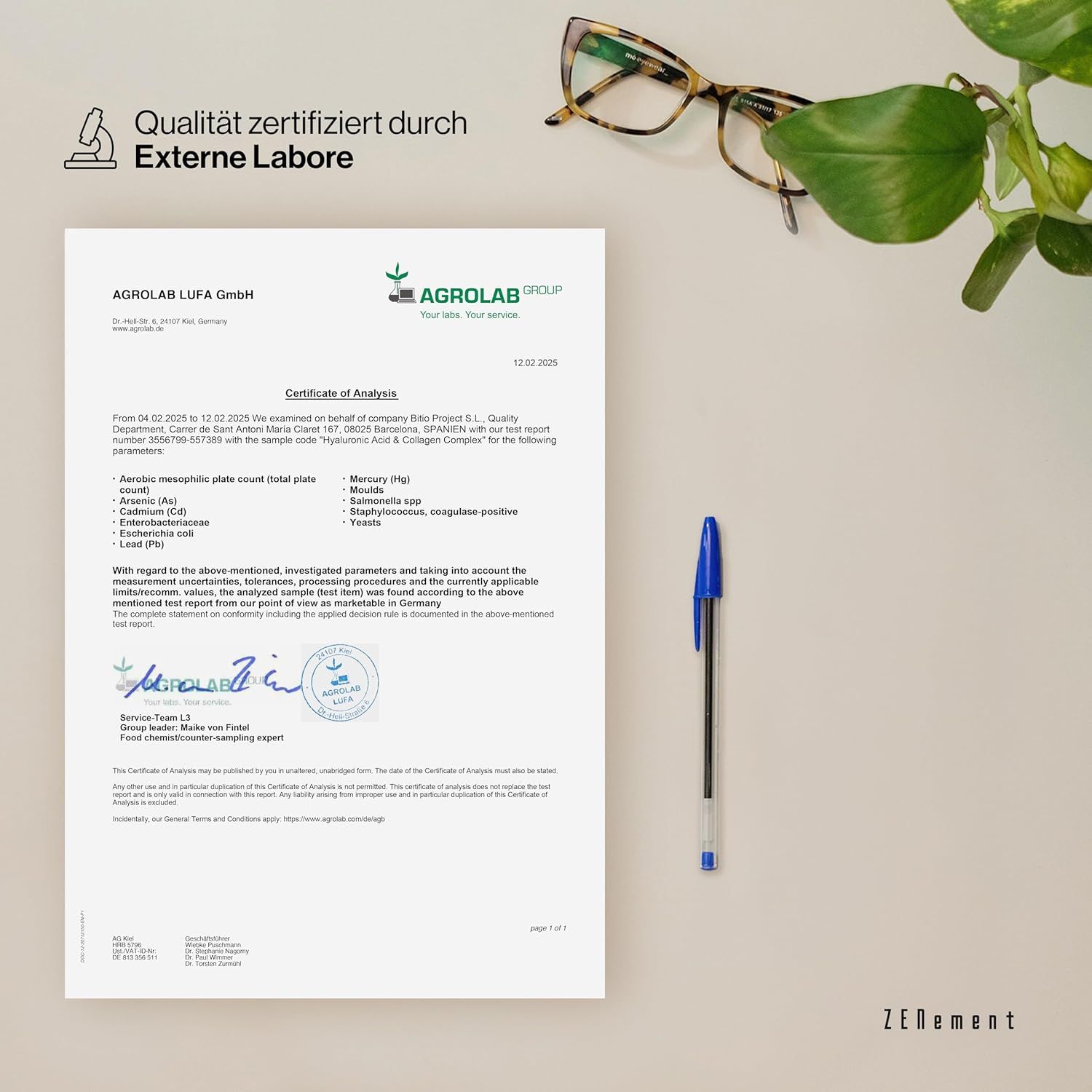 Zenement Kollagen und Hyaluronsäure