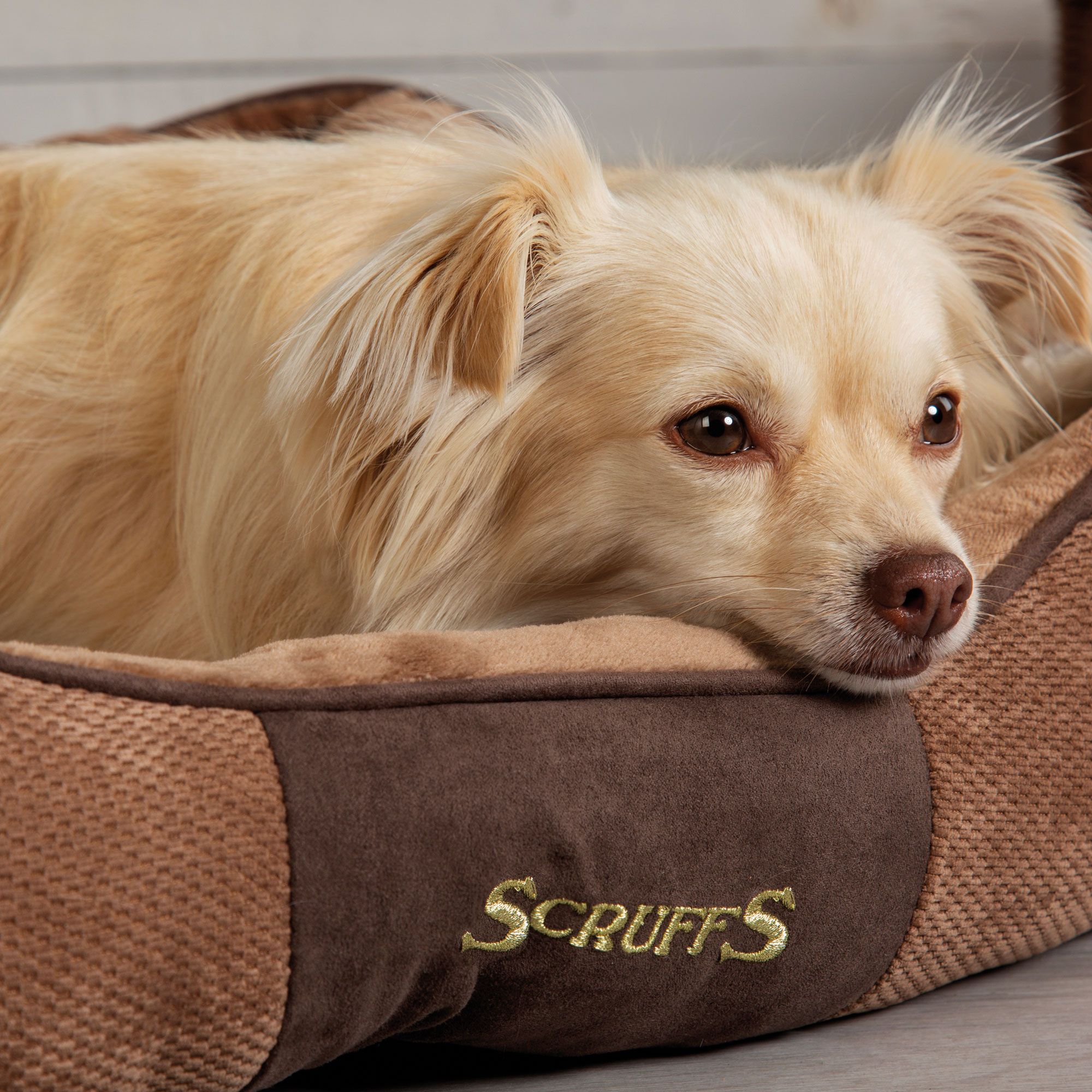 SCRUFFS® Chester Box Bett - hochwertig - waschbar- Plüschstoff