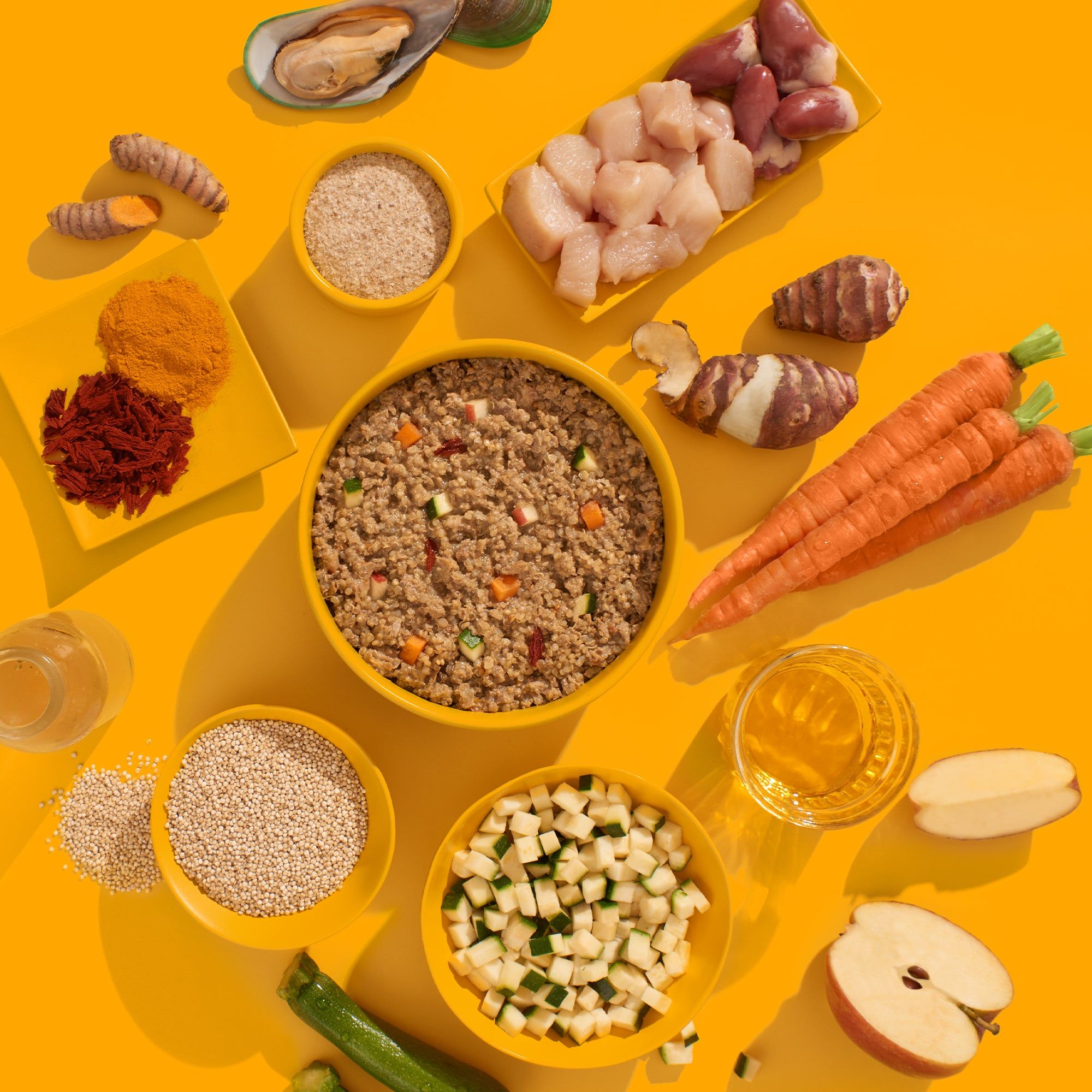 Draufsicht auf Zutaten für Hundefutter: Fleisch, Gemüse, Getreide, Gewürze, Obst. Gelber Hintergrund.