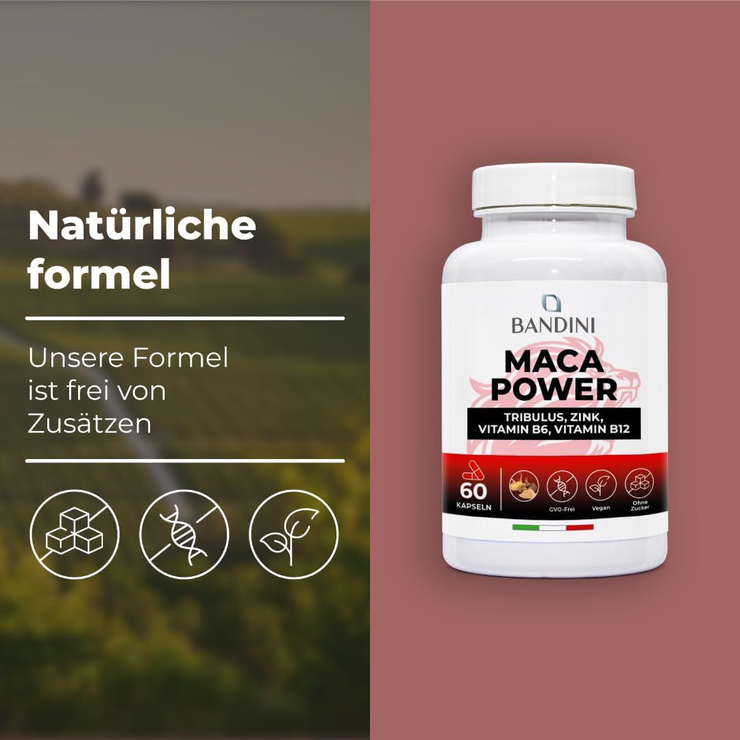 Weiße Flasche mit Bandini Maca Power Kapseln. Aufschrift: Maca Power, Tribulus, Zink, Vitamin B6, Vitamin B12. 60 Kapseln.