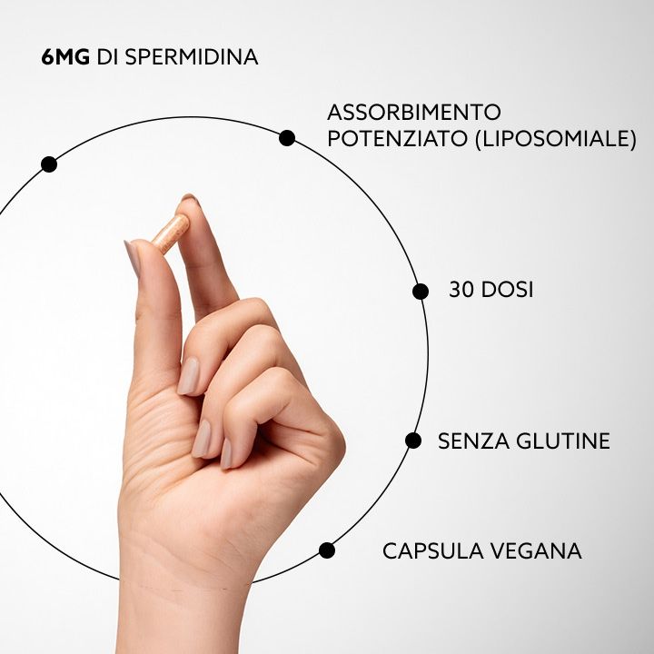 Hand hält eine Kapsel. Diagramm mit Texten: 6MG DI SPERMIDINA, ASSORBIMENTO POTENZIATO (LIPOSOMIALE), 30 DOSI, SENZA GLUTINE, CAPSULA VEGANA.