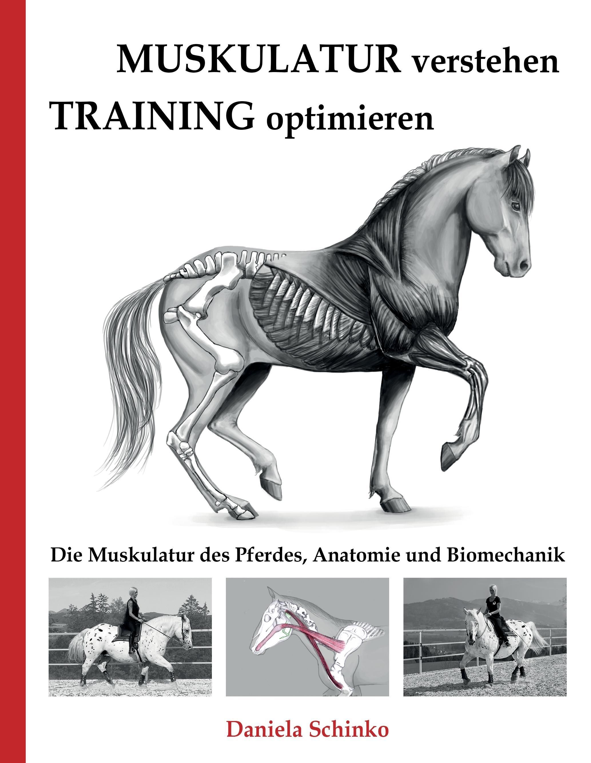 Muskulatur verstehen - Training optimieren Die Muskulatur des Pferdes, Anatomie und Biomechanik