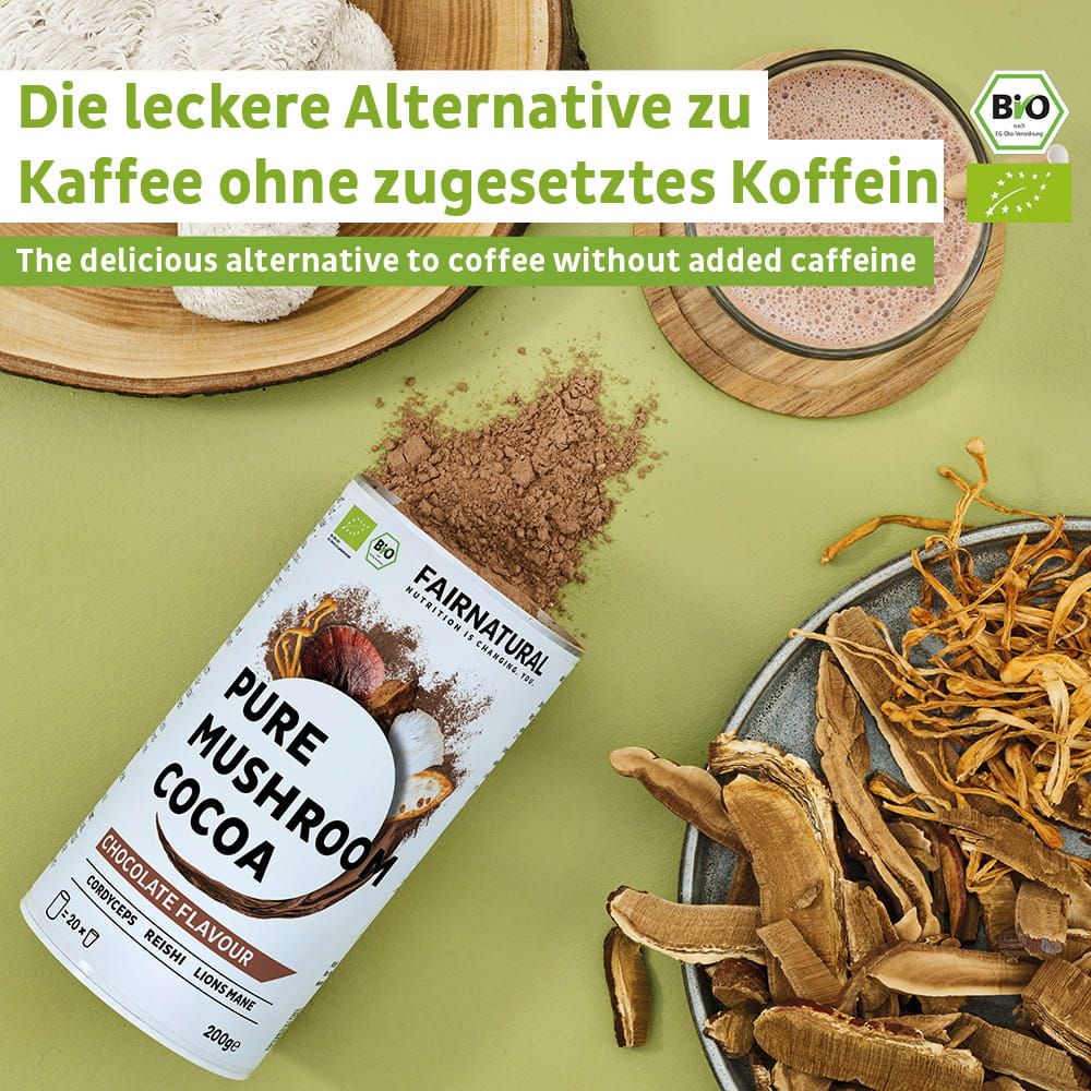 FAIRNATURAL Pure Mushroom Cocoa Dose, Pulver und getrocknete Pilze auf grünem Hintergrund.