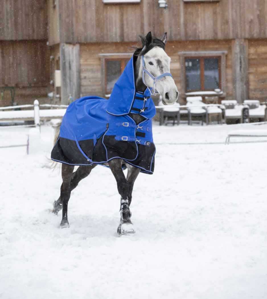 Equitheme Tyrex Outdoordecke