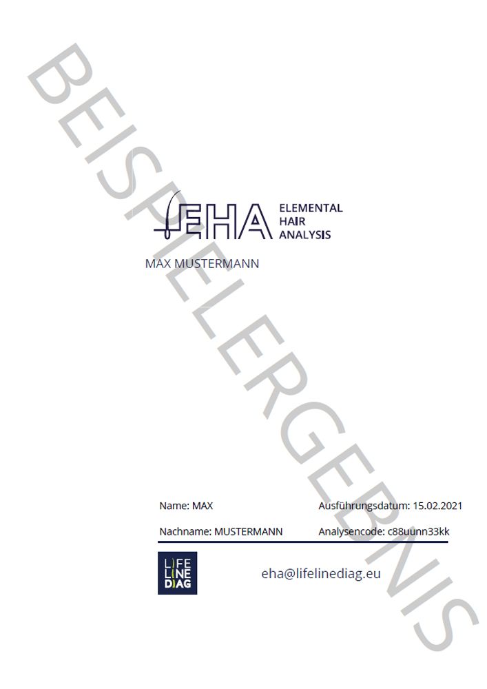 Lifeline Diag Haarmineralanalyse Familien Set