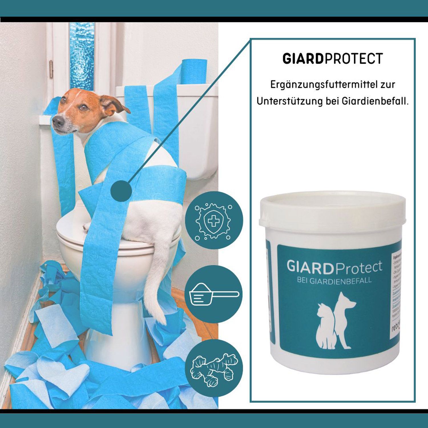 reboVet GiardProtect