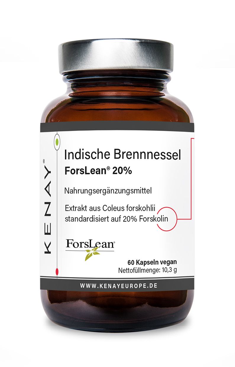 Braune Glasflasche mit Kapseln. Aufschrift: Indische Brennnessel ForsLean® 20%, KENAY®. 60 Kapseln vegan. Etikett mit Produktinformationen.