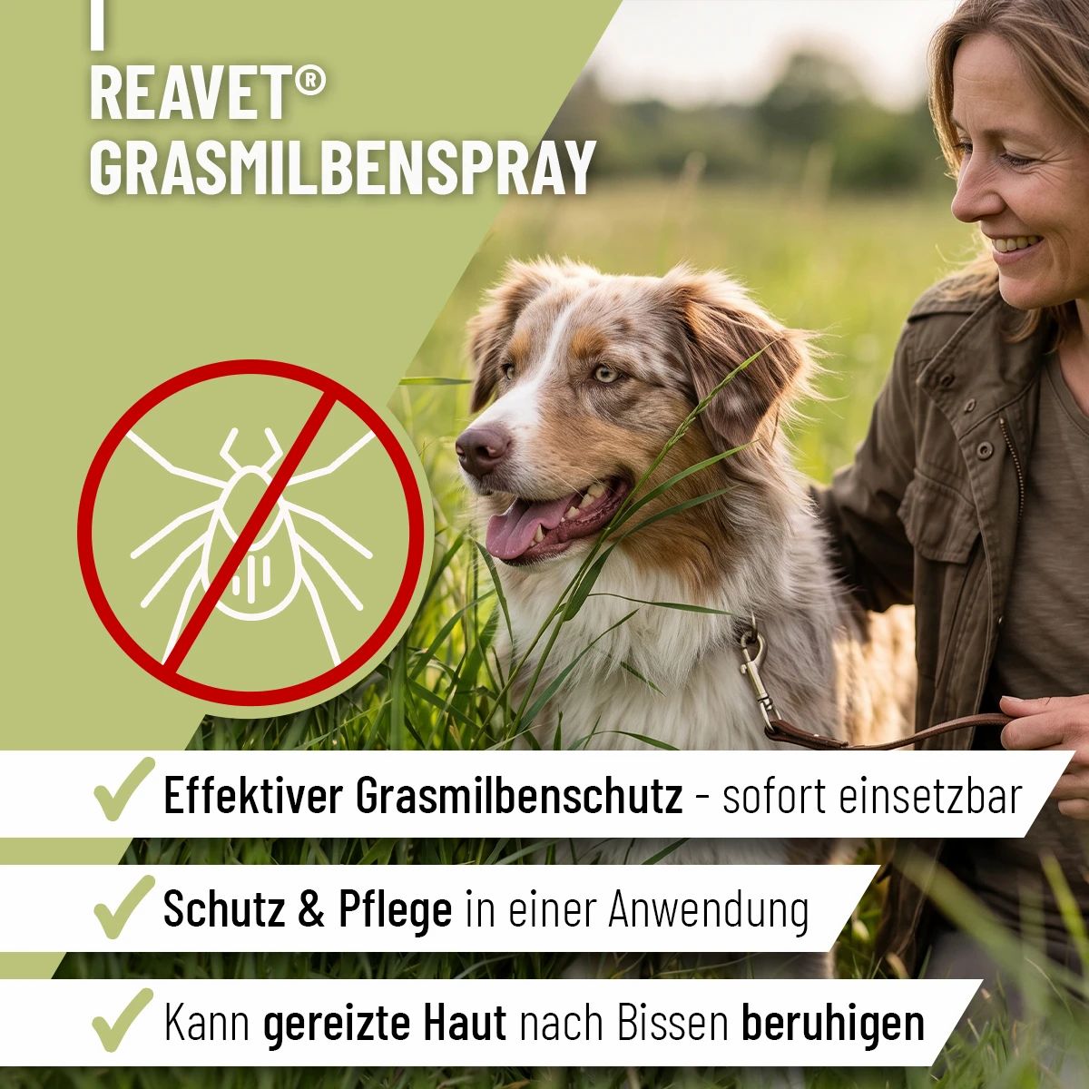 Hund mit Frau im Gras, Frau hält ReaVET Grasmilben Spray. Fokus auf effektiven Schutz.