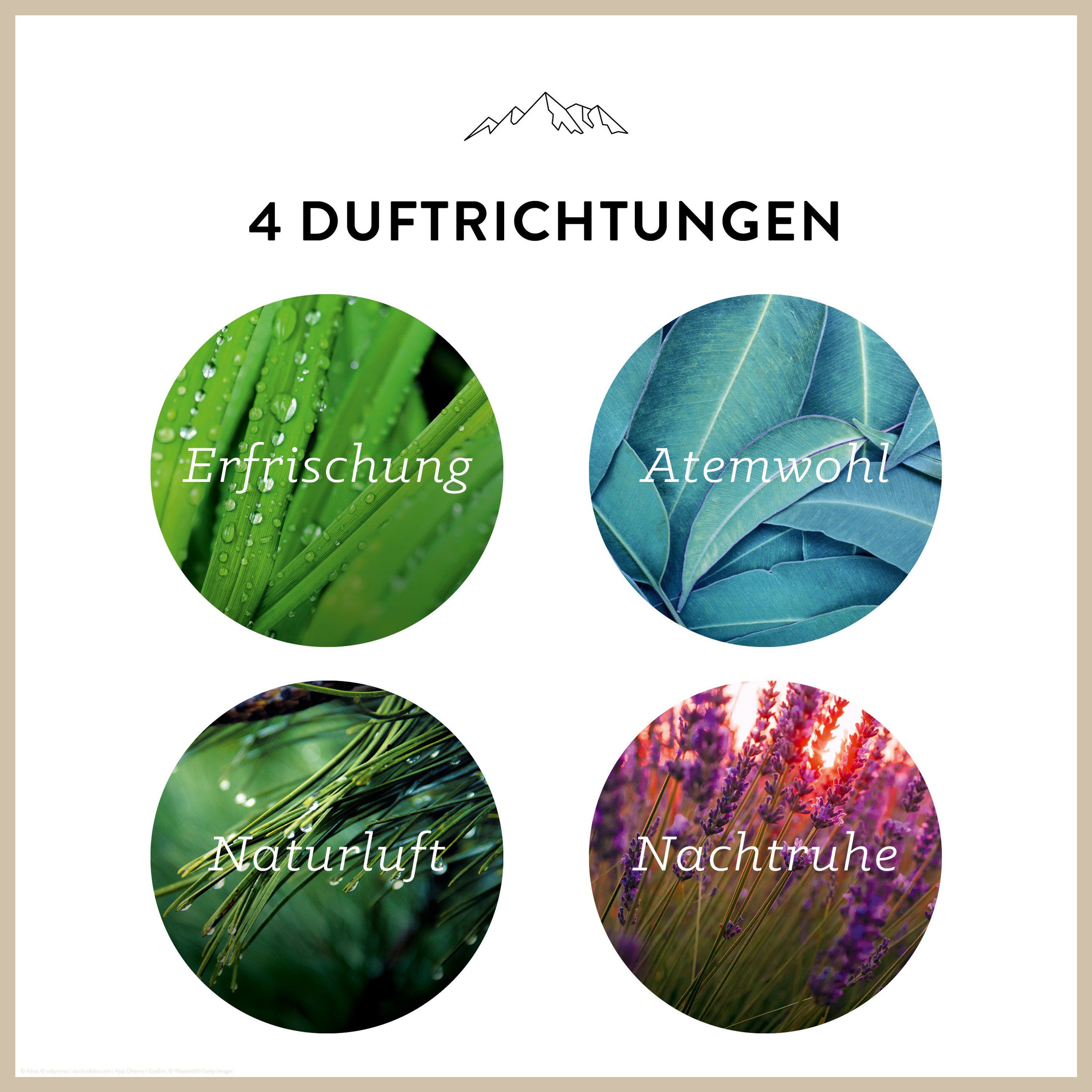 Allgäuquelle Bio Duftöl-Set Duftmischungen. Ätherische Öle für Diffuser - Aromatherapie,Entspannung