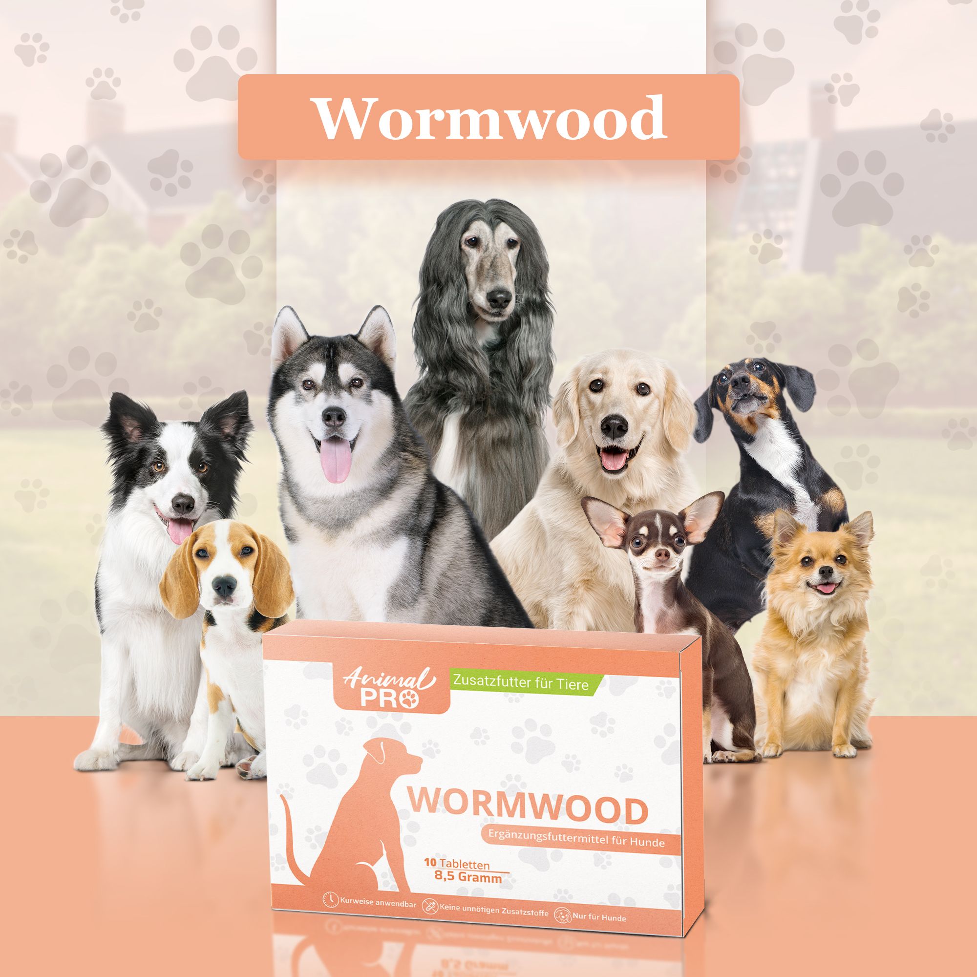Packung Animal Pro Wormwood vor einer Gruppe von Hunden verschiedener Rassen.