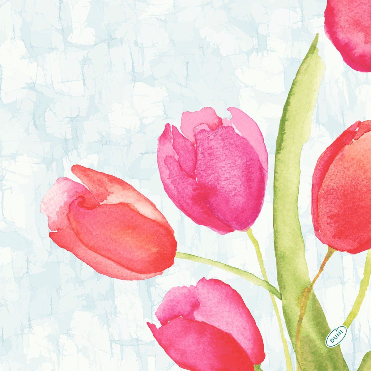 Bio-Dunisoft-Serv.40x40cm Painted Tulips 60P. 2160 St Tücher