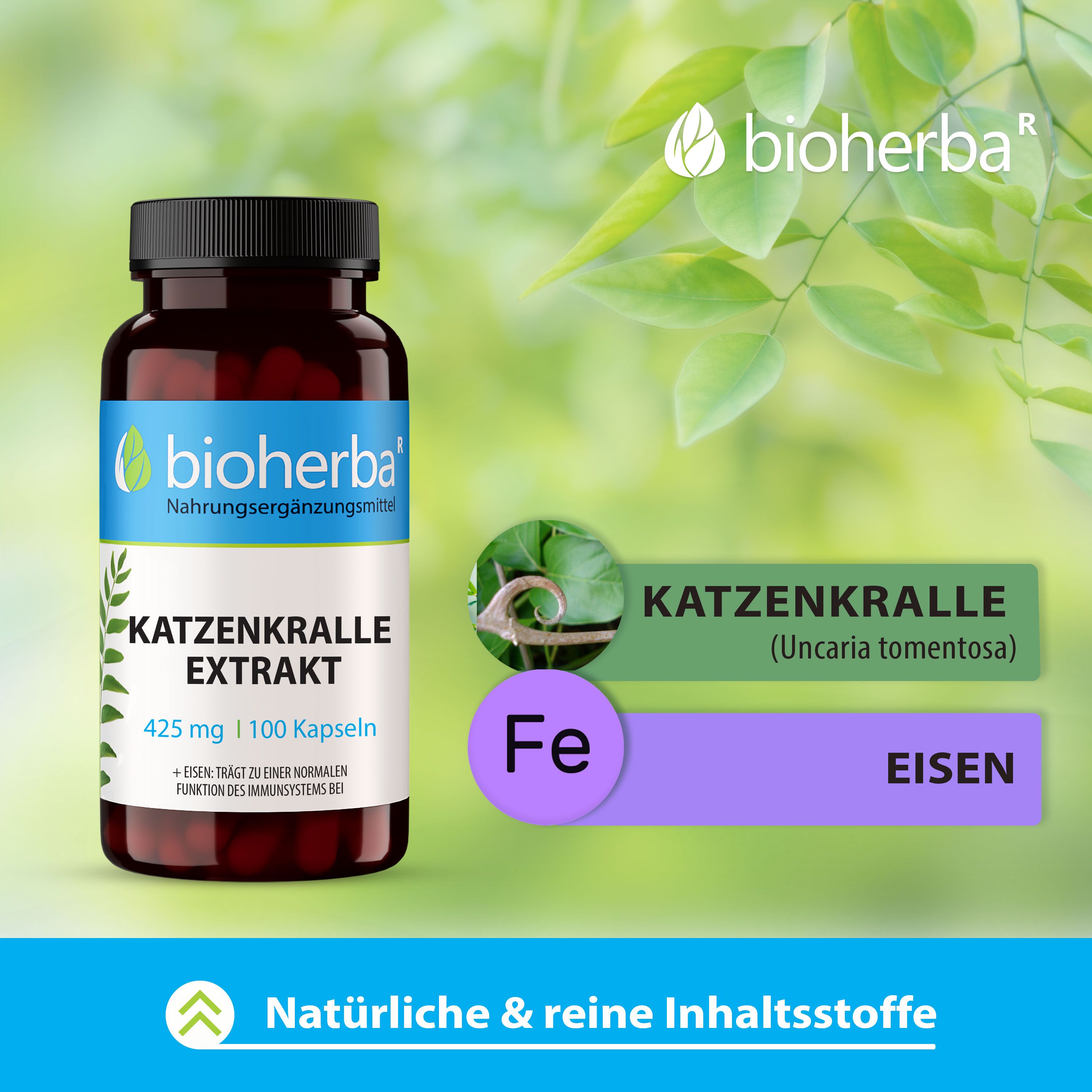 Bioherba Katzenkralle Extrakt Kapseln