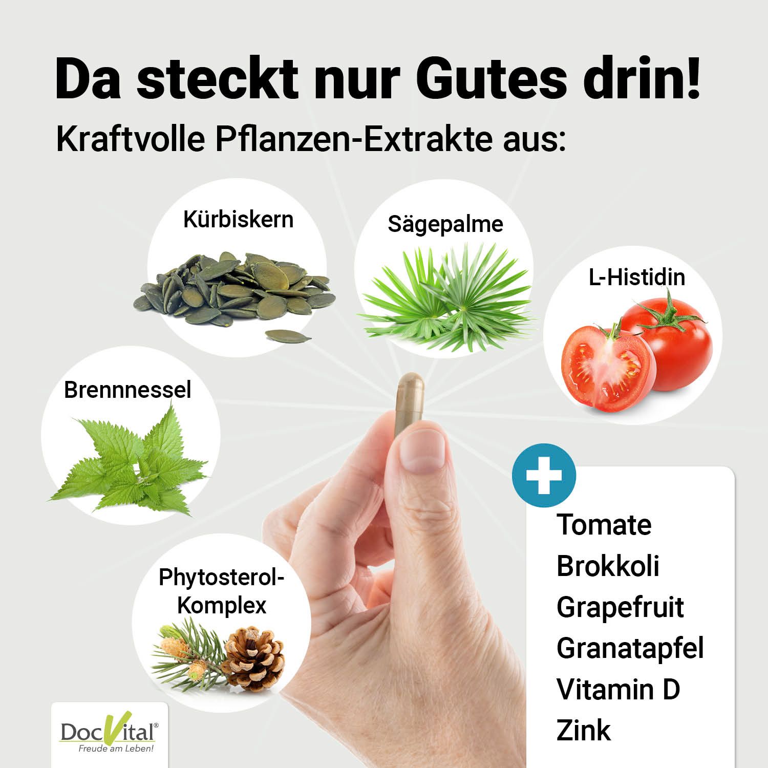 DocVital® Prostata Komplex Kapseln - Sägepalmenextrakt, Kürbiskernextrakt, Zink, Vitamin D3 & mehr