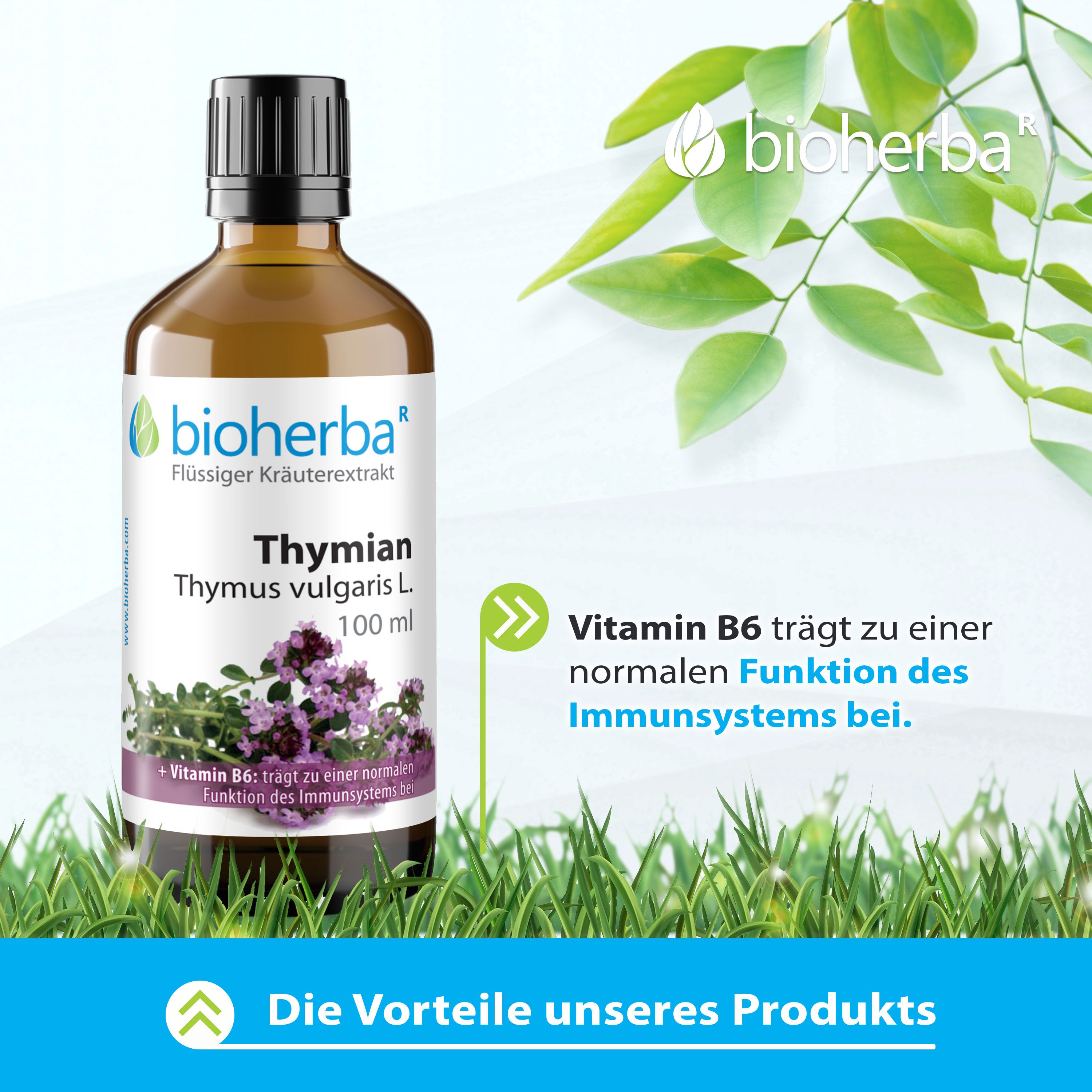 Bioherba Thymian Thymus vulgaris L. Tropfen Tinktur