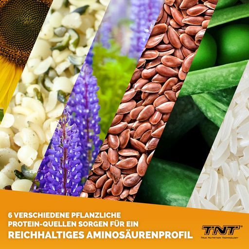 TNT Planto Six, veganes Mehrkomponenten Protein, super cremig im Erdnussbutter-Creme Geschmack