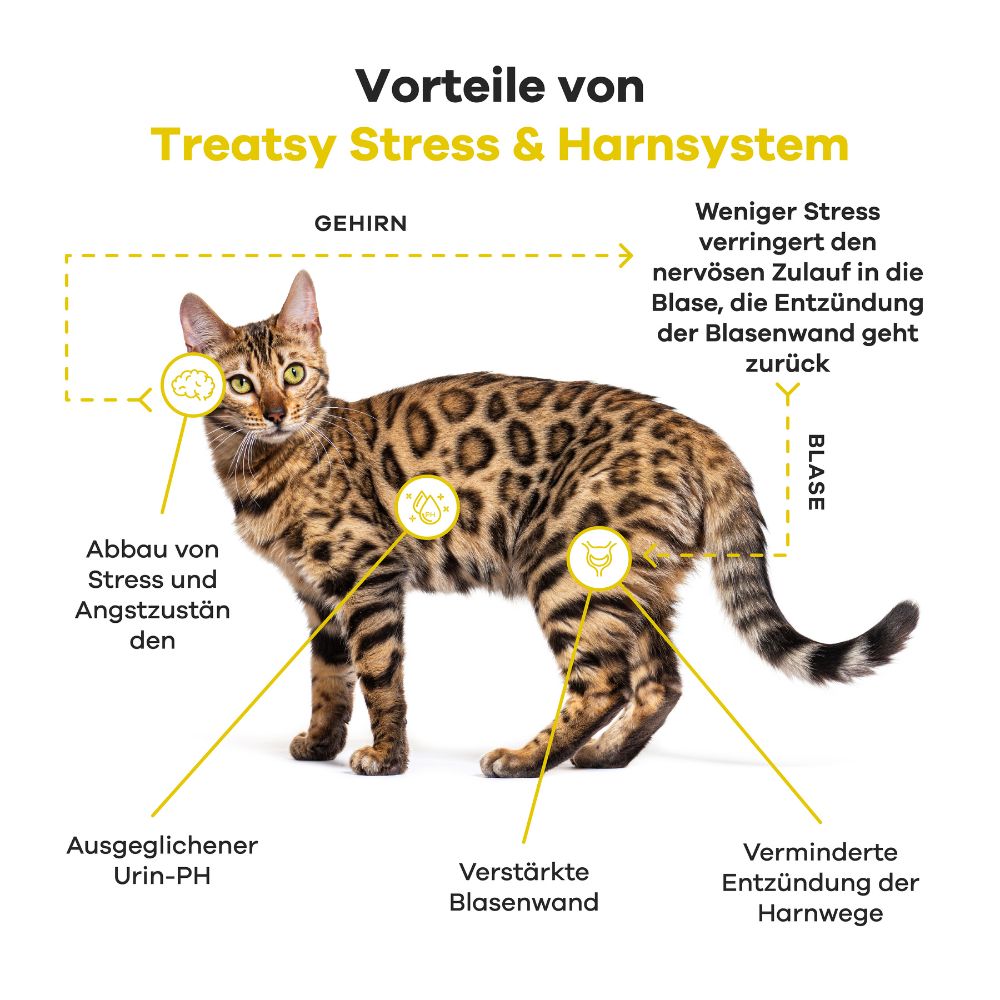 Grafik einer Katze mit Text und Pfeilen. Vorteile von Treatsy Stress & Harnsystem.