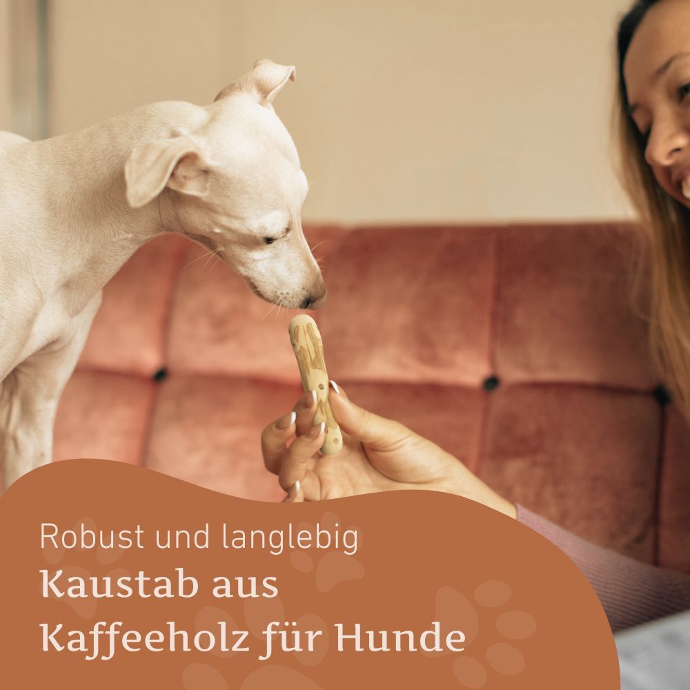 Hund und Person mit Kaustab. Text: Robust und langlebig, Kaustab aus Kaffeeholz für Hunde.