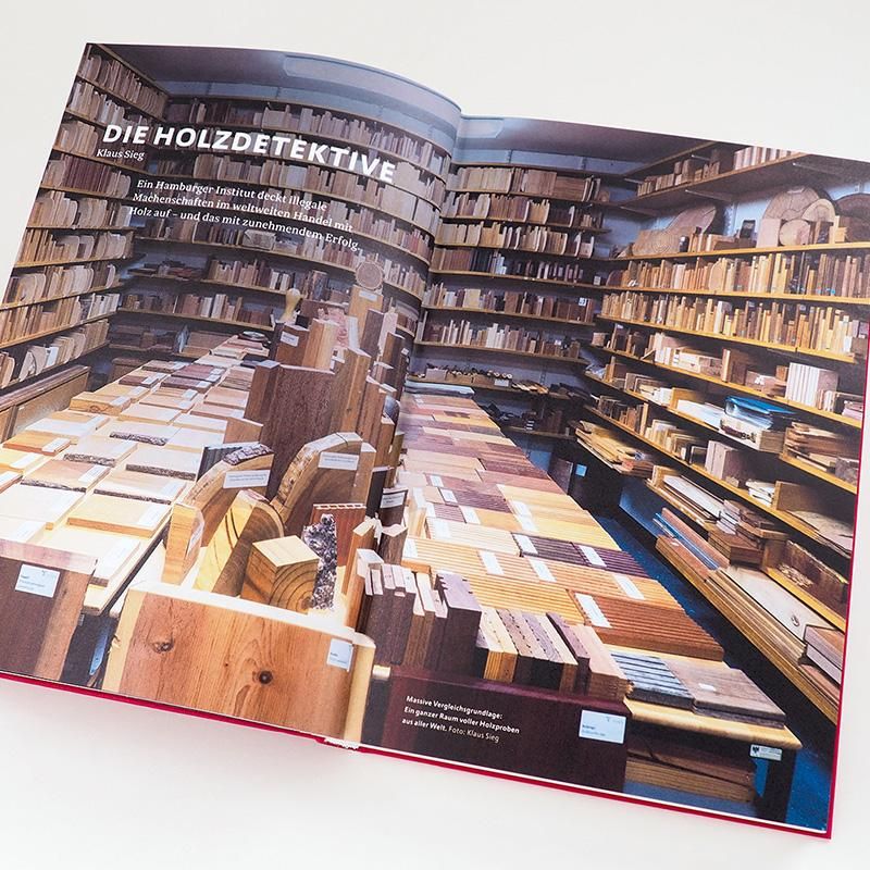 Buchseite mit Text und Fotos. Thema: Holzdetektive. Fotos von Holzstücken in einem Raum. Text in deutscher Sprache.