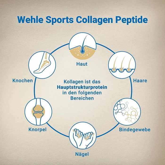 Kollagen Pulver - Marine Collagen Peptide von Wehle Sports