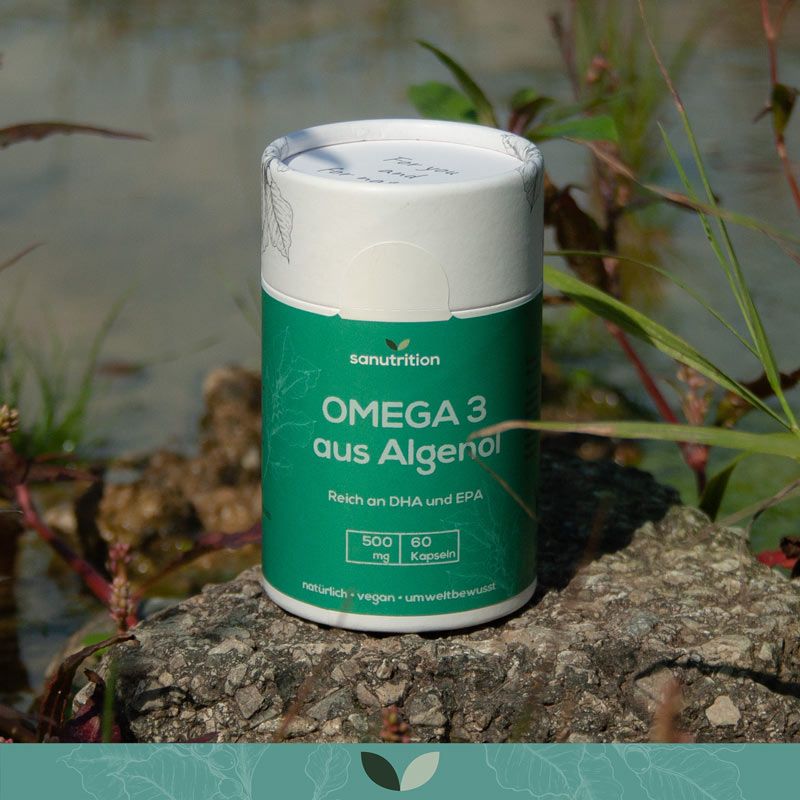 Sanutrition Omega 3 aus Algenöl Dose auf einem Stein. Grün-weißes Etikett mit Produktinformationen und 60 Kapseln.