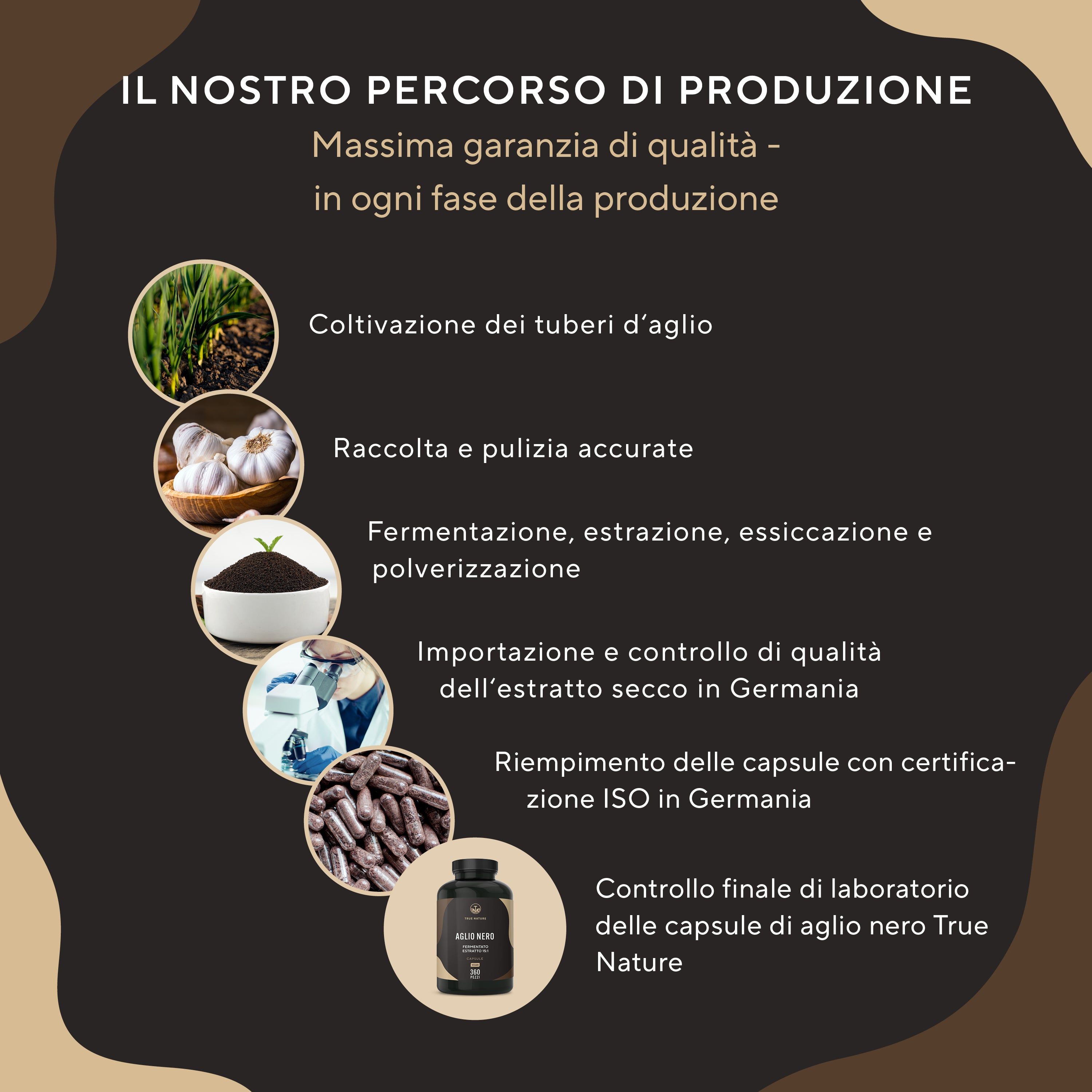 Infografica: Coltivazione, raccolta, fermentazione, estrazione, essiccazione, riempimento, controllo qualità. Testo: Il nostro percorso di produzione.