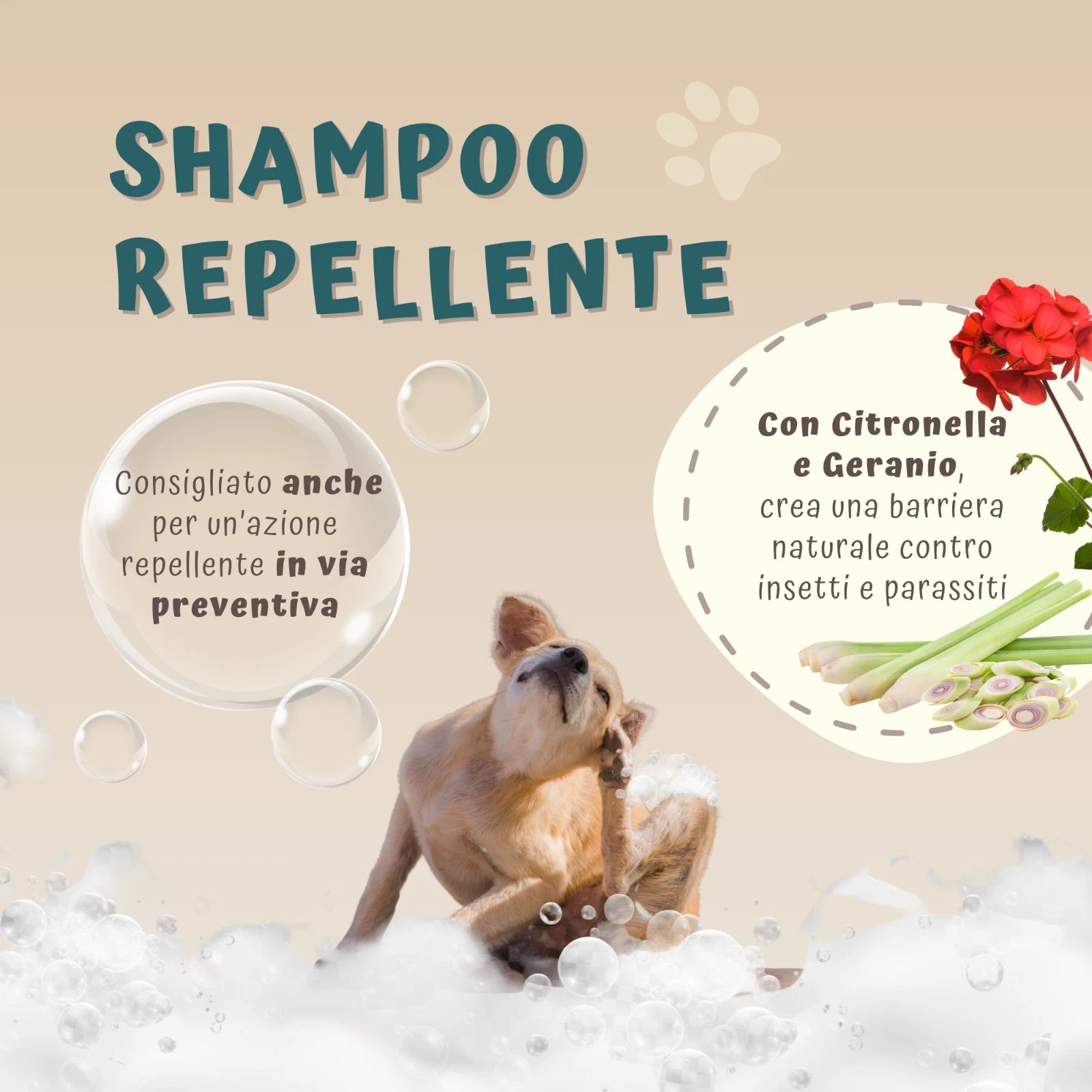 Illustration mit Hund und Seifenblasen. Text: Shampoo Repellente. Mit Citronella und Geranie. Empfohlen zur Vorbeugung.