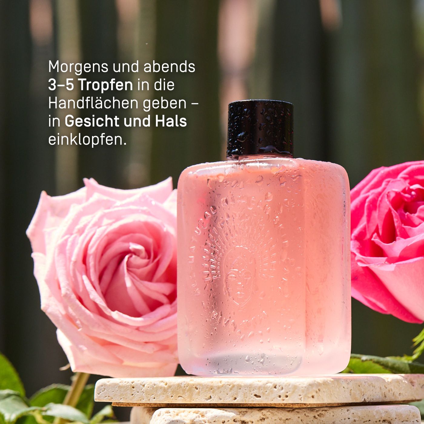 Viva Maia Soothing Toner steht zwischen zwei rosa Rosen auf einem Steinpodest.