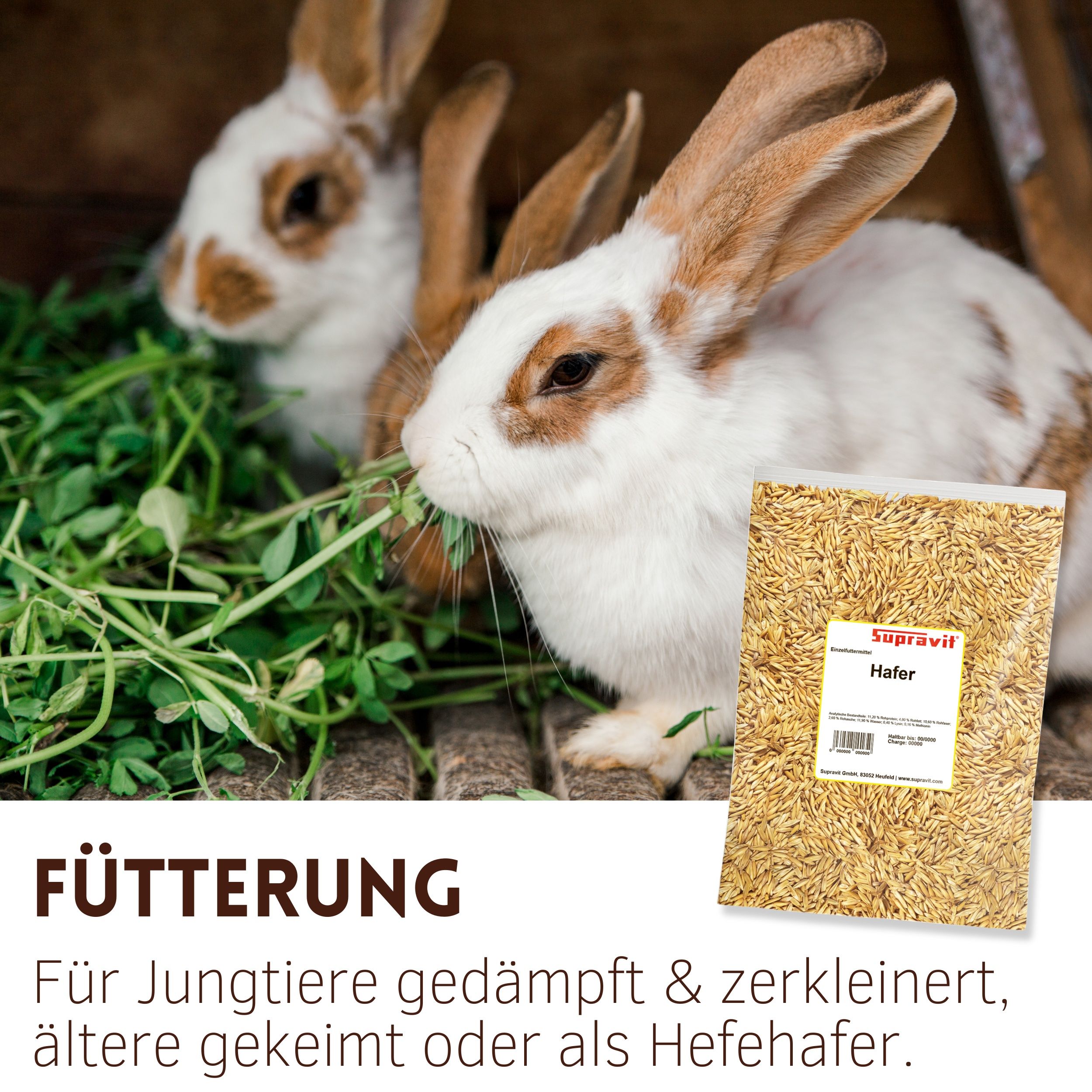 Zwei Kaninchen fressen Grünfutter. Rechts: Beutel mit Supravit Hafer. Aufschrift: Hafer.