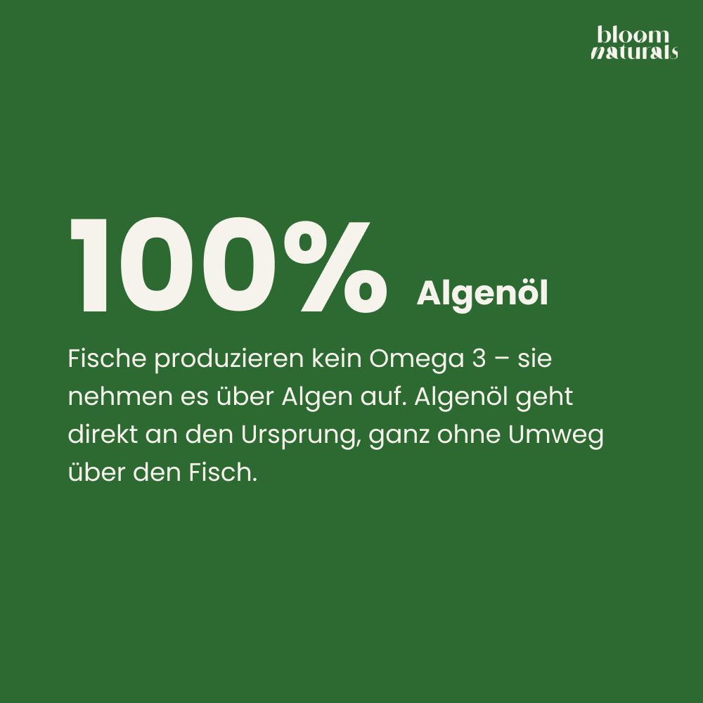 Grüner Hintergrund mit weißem Text "100% Algenöl". Erklärung zur Herkunft von Omega 3 aus Algen.