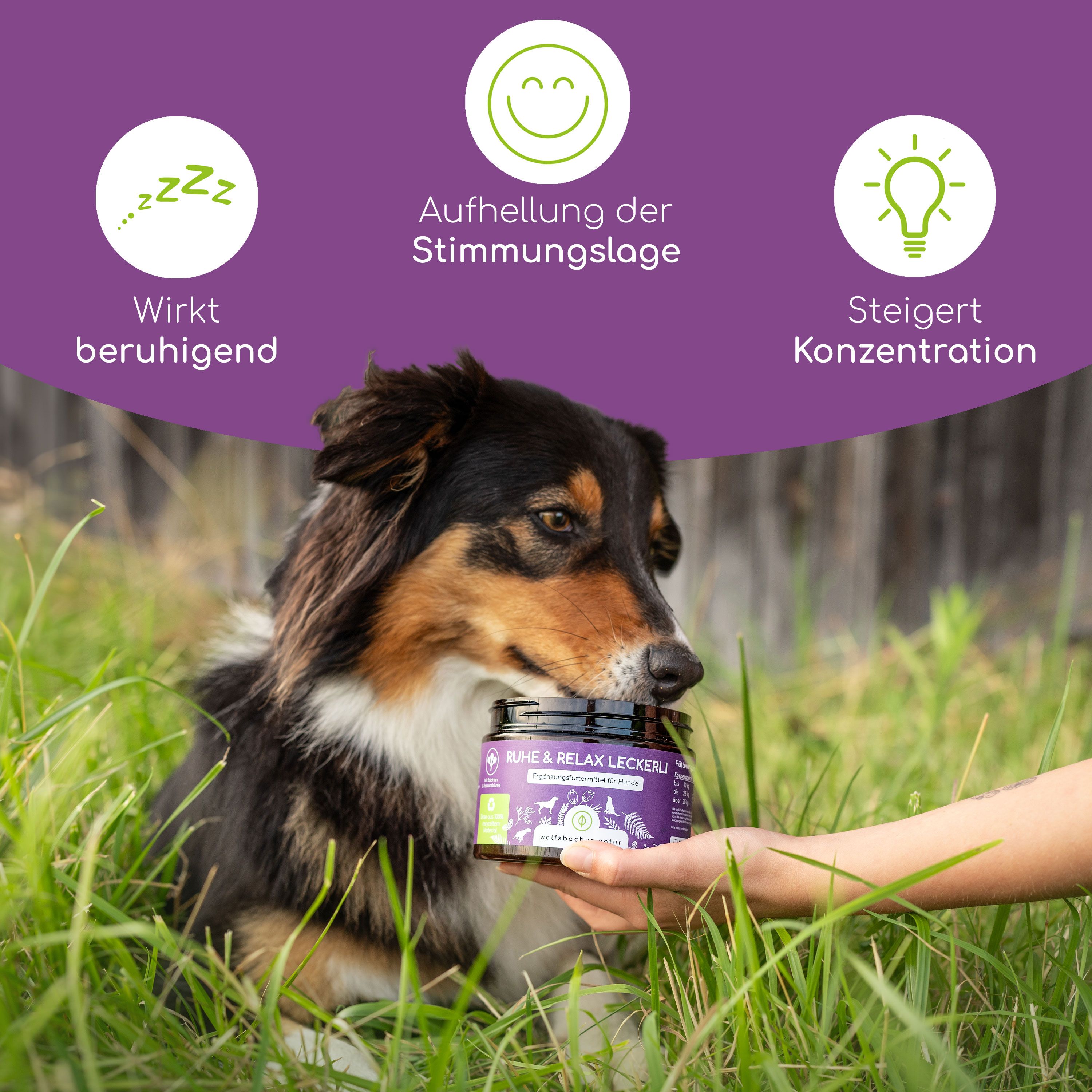 Hund im Gras, hält eine Dose. Aufschrift: Ruhe & Relax Leckerli. Ergänzungsfuttermittel für Hunde. Marke: Wolfsbacher Natur.