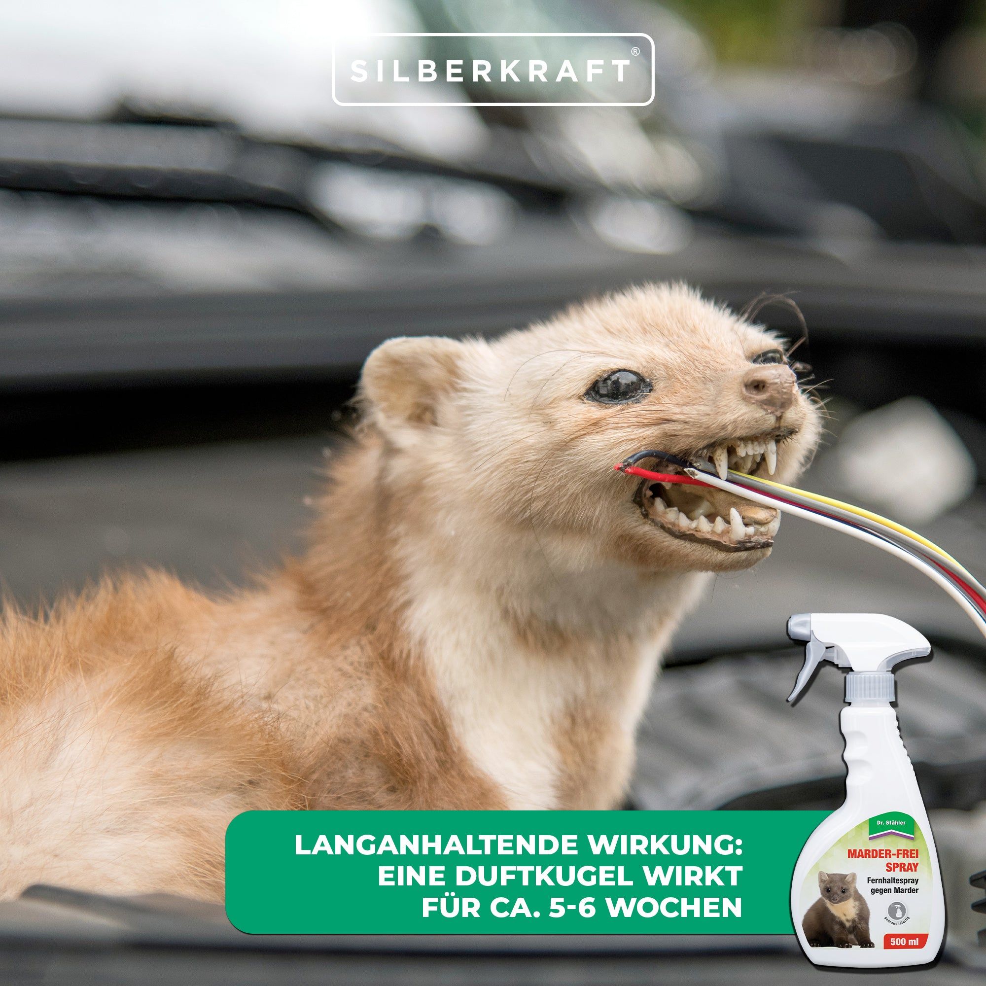 SILBERKRAFT Marder-Frei Spray