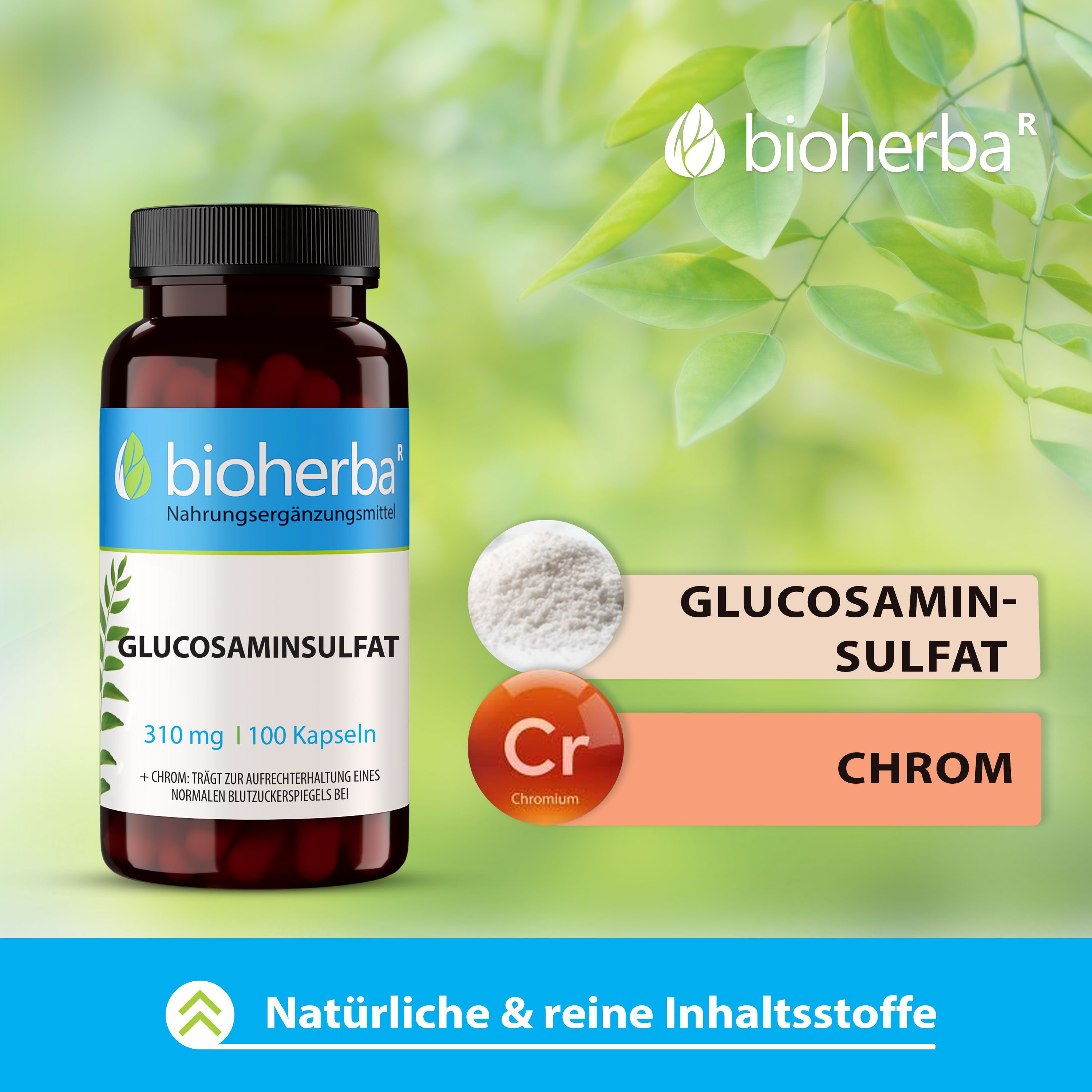 Bioherba Glucosaminsulfat 100 Kapseln