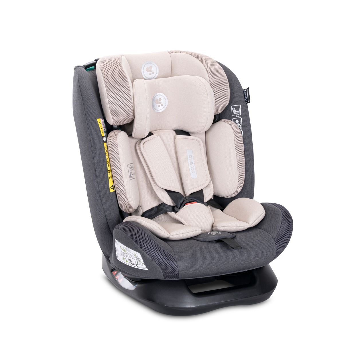 Lorelli Kindersitz Scorpius (40-150cm) 1 St