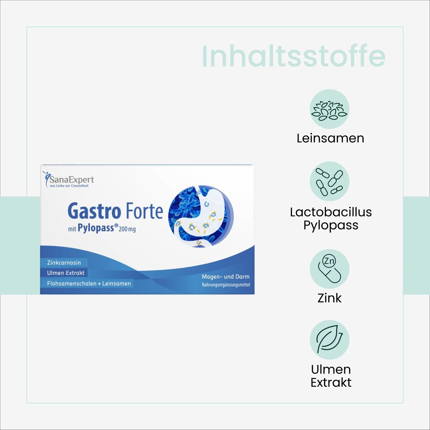 SanaExpert Gastro Forte – mit 200 mg Pylopass®, Zink, Ulmen-Extrakt und Flohsamenschalen